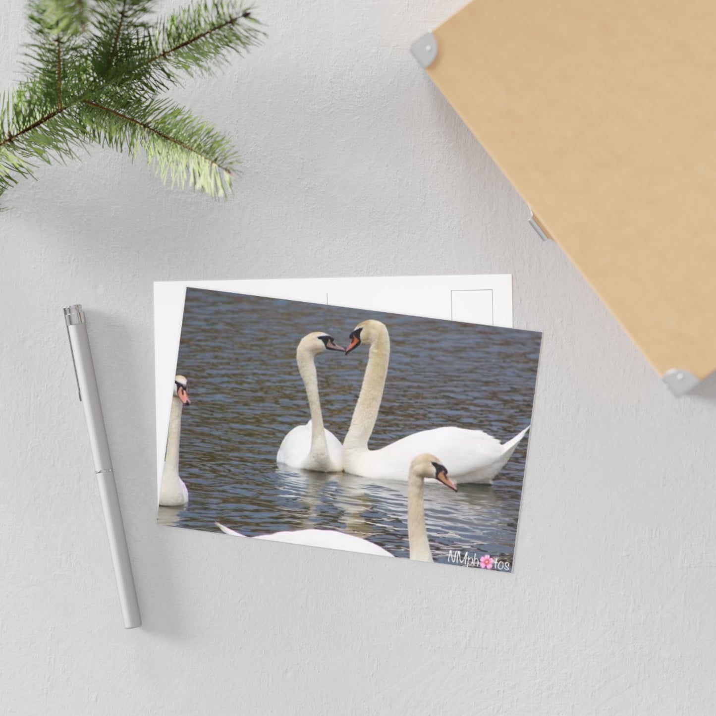 Love Birds Fine Art Postcard