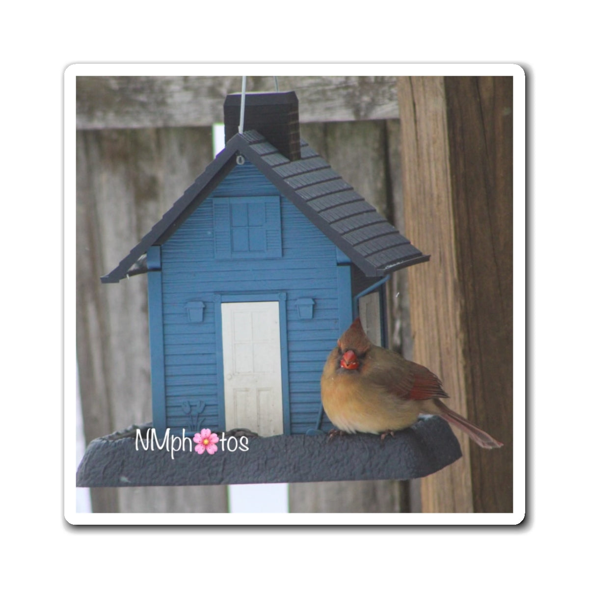Birdhouse Magnet