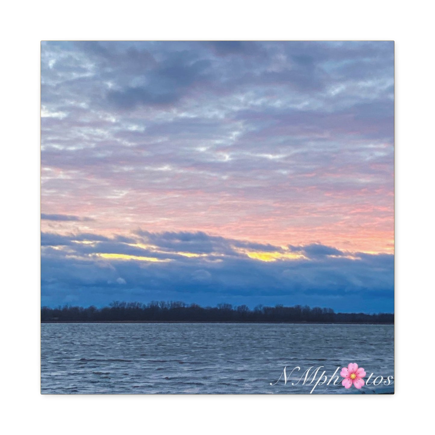 Fluffy Cotton Candy Canvas