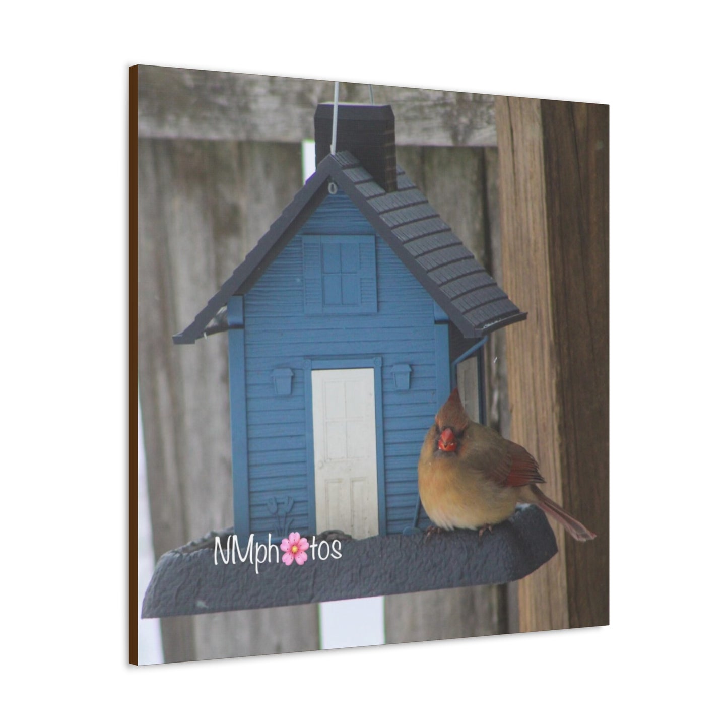Birdhouse Canvas