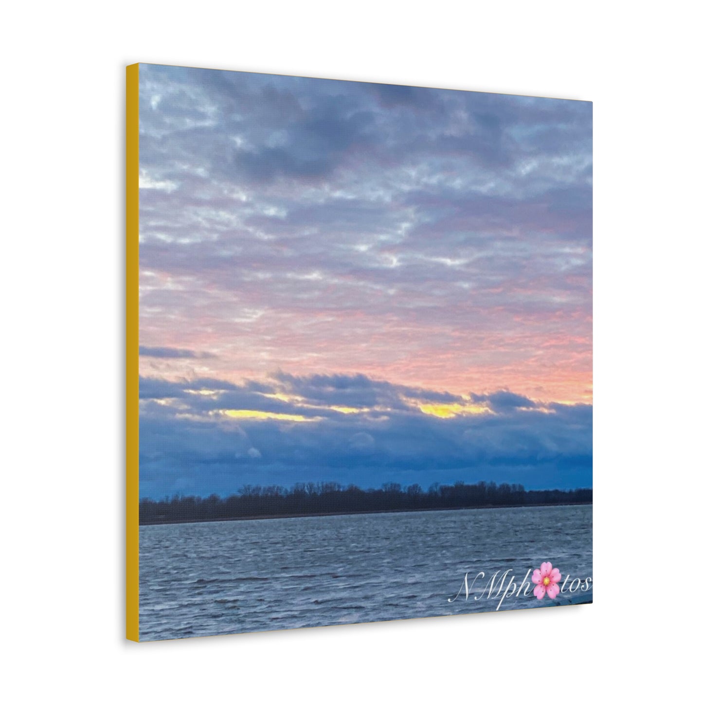 Fluffy Cotton Candy Canvas