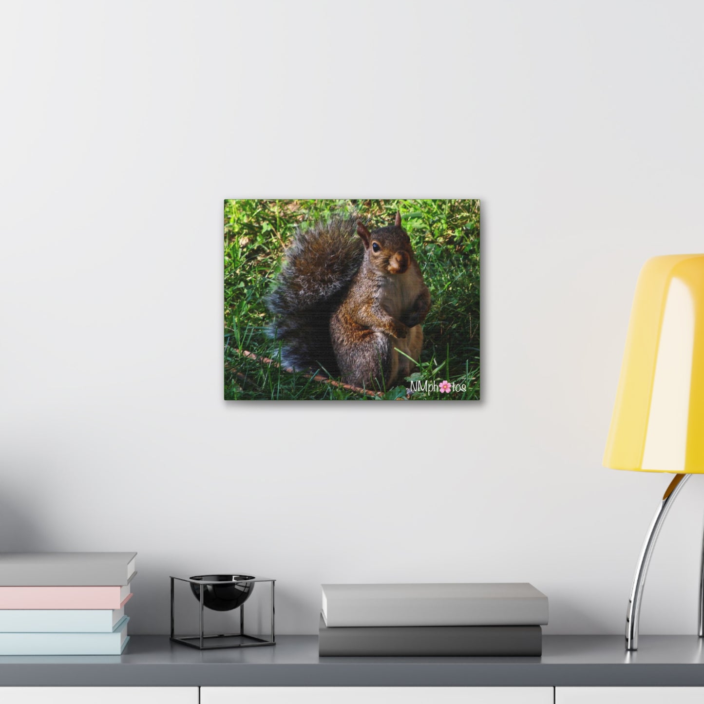 Squirrely Squirrel Canvas
