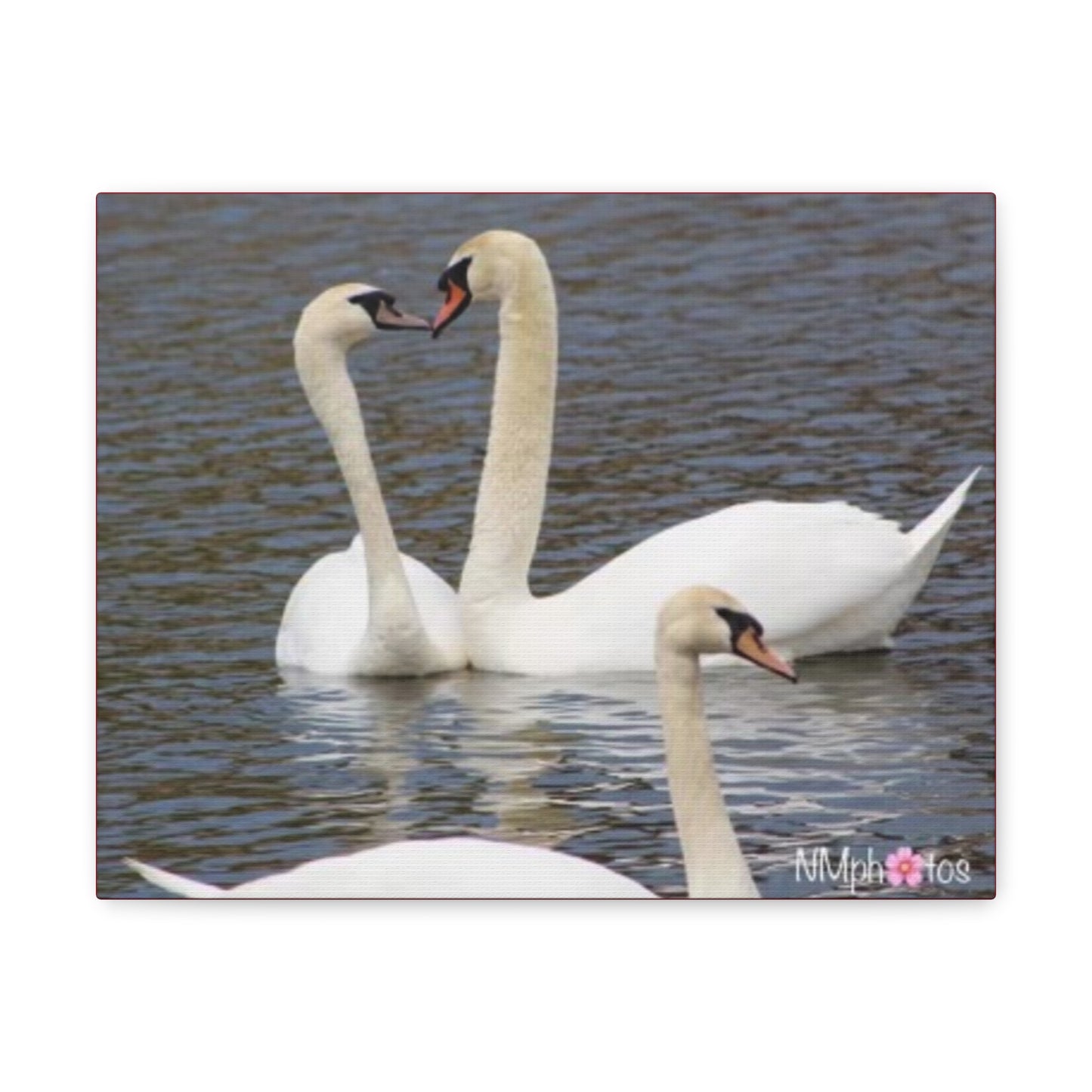Love Birds Canvas