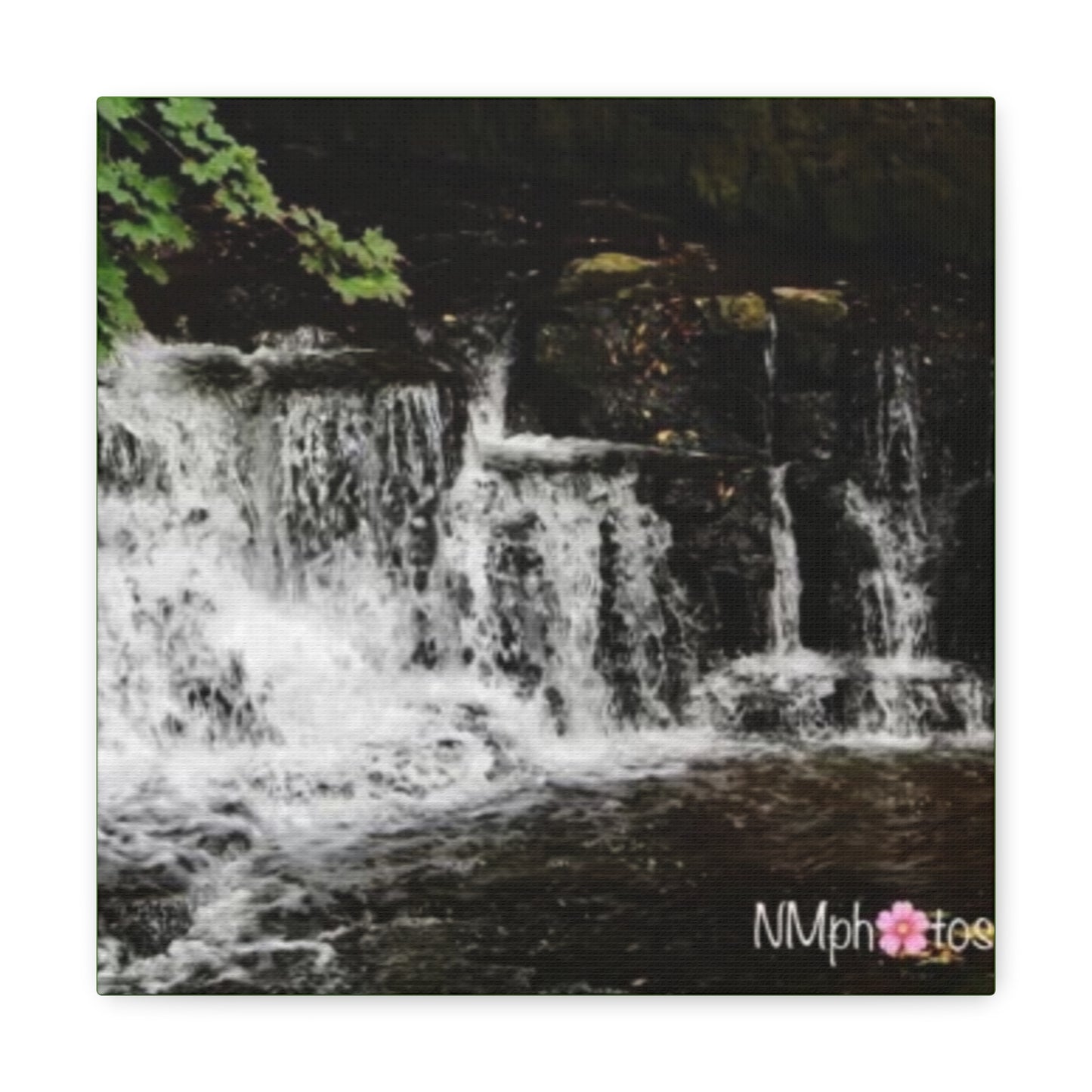 It's Like a Rainforrest Canvas