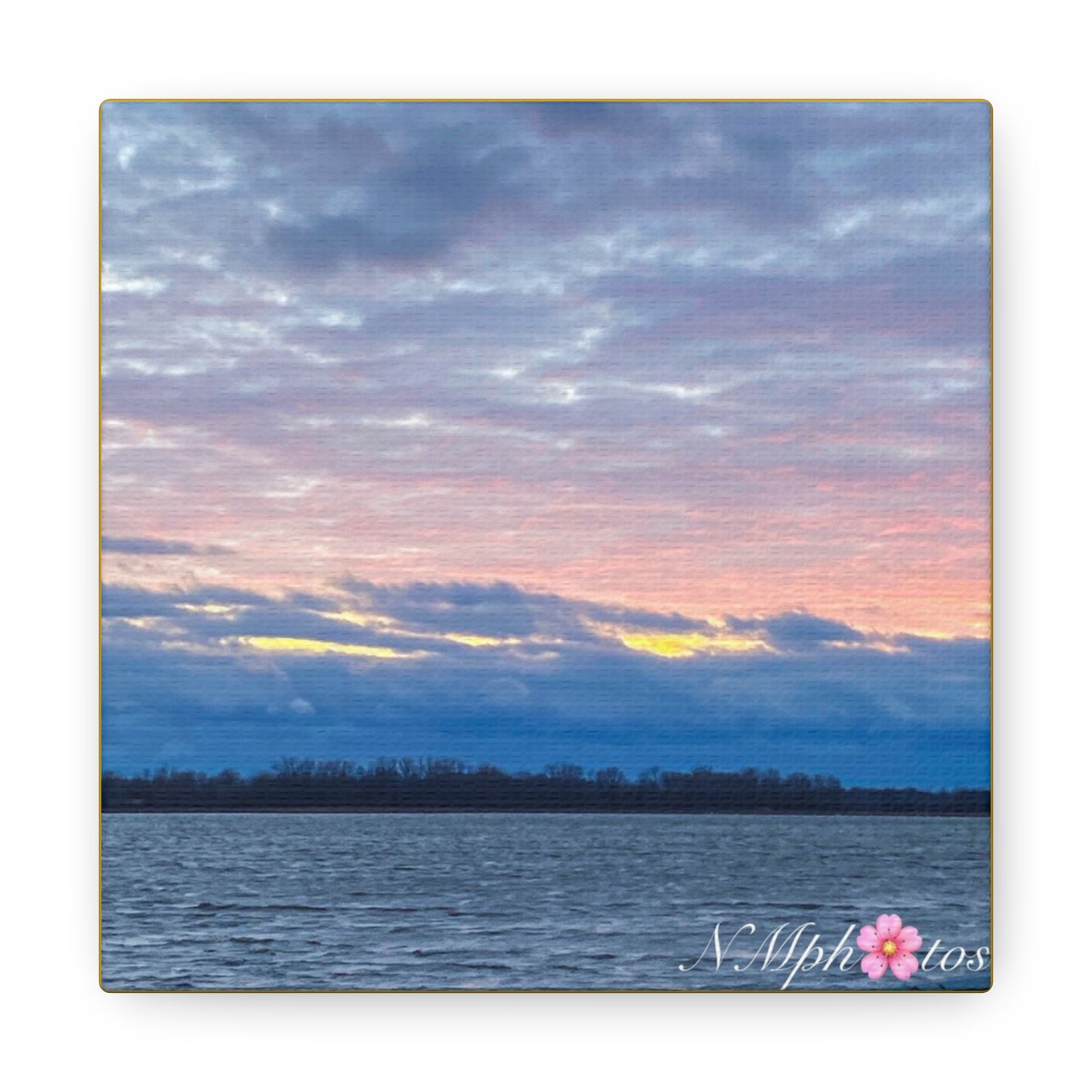 Fluffy Cotton Candy Canvas