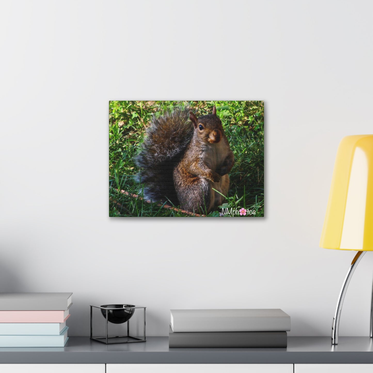 Squirrely Squirrel Canvas