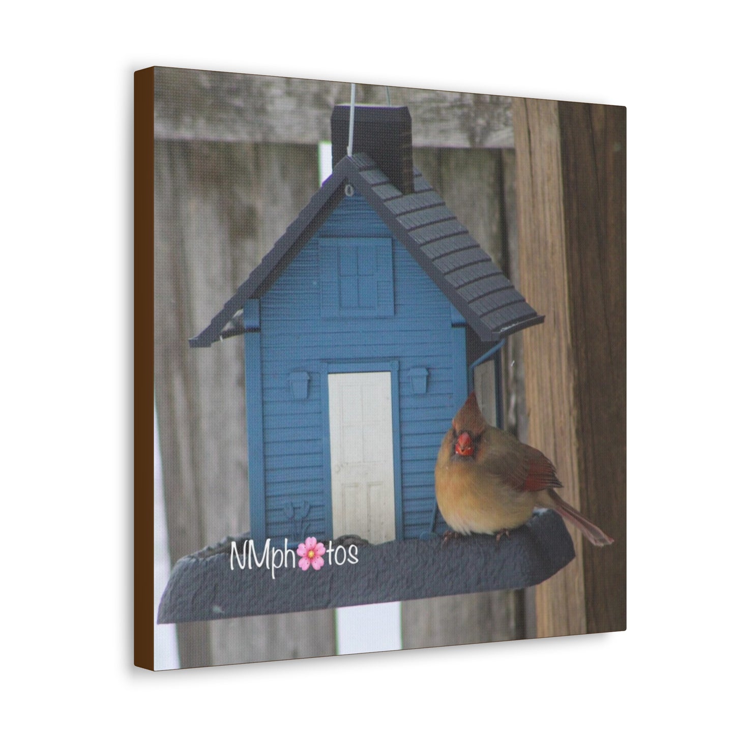 Birdhouse Canvas