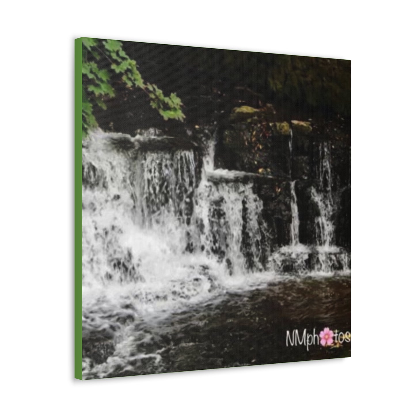 It's Like a Rainforrest Canvas