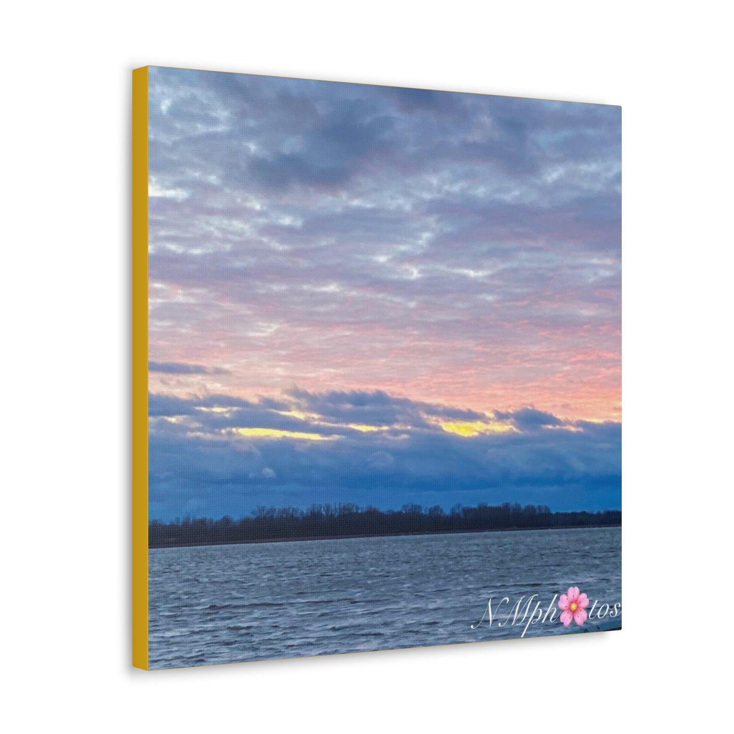 Fluffy Cotton Candy Canvas