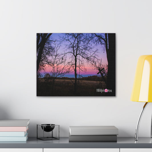 I Think I'm Dreaming Canvas