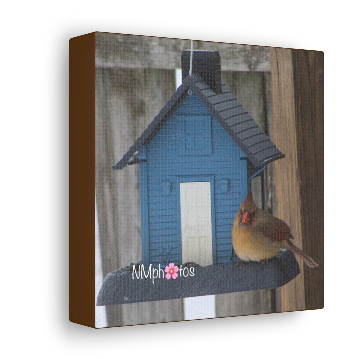 Birdhouse Canvas