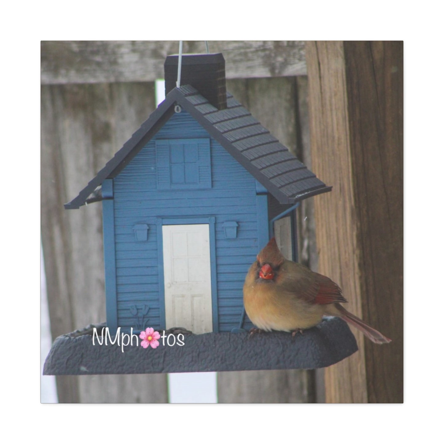 Birdhouse Canvas