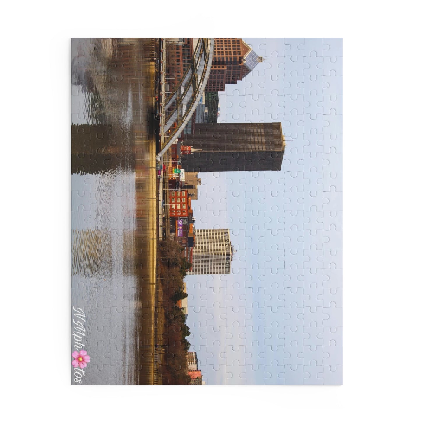 This is ROCHESTER Puzzle