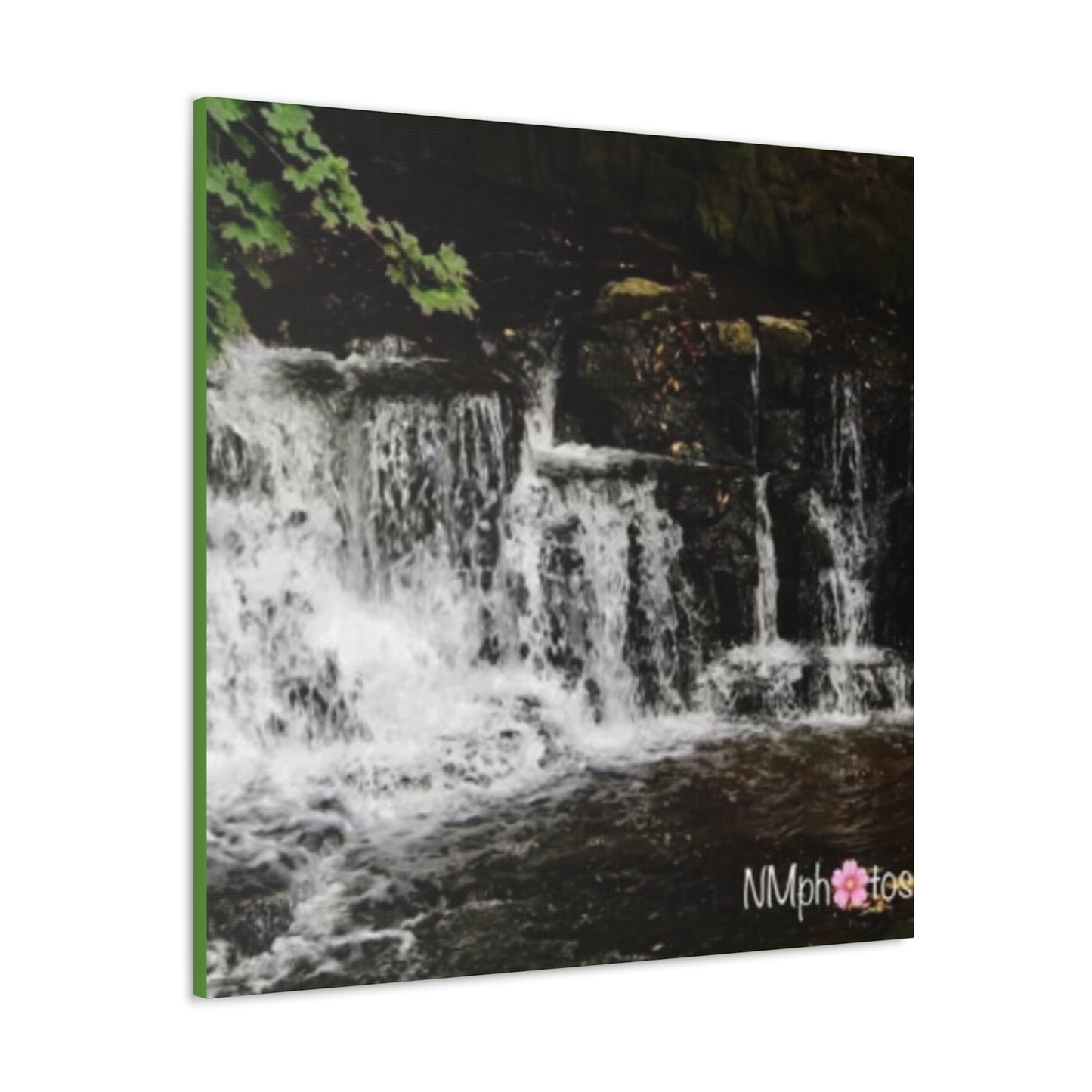 It's Like a Rainforrest Canvas