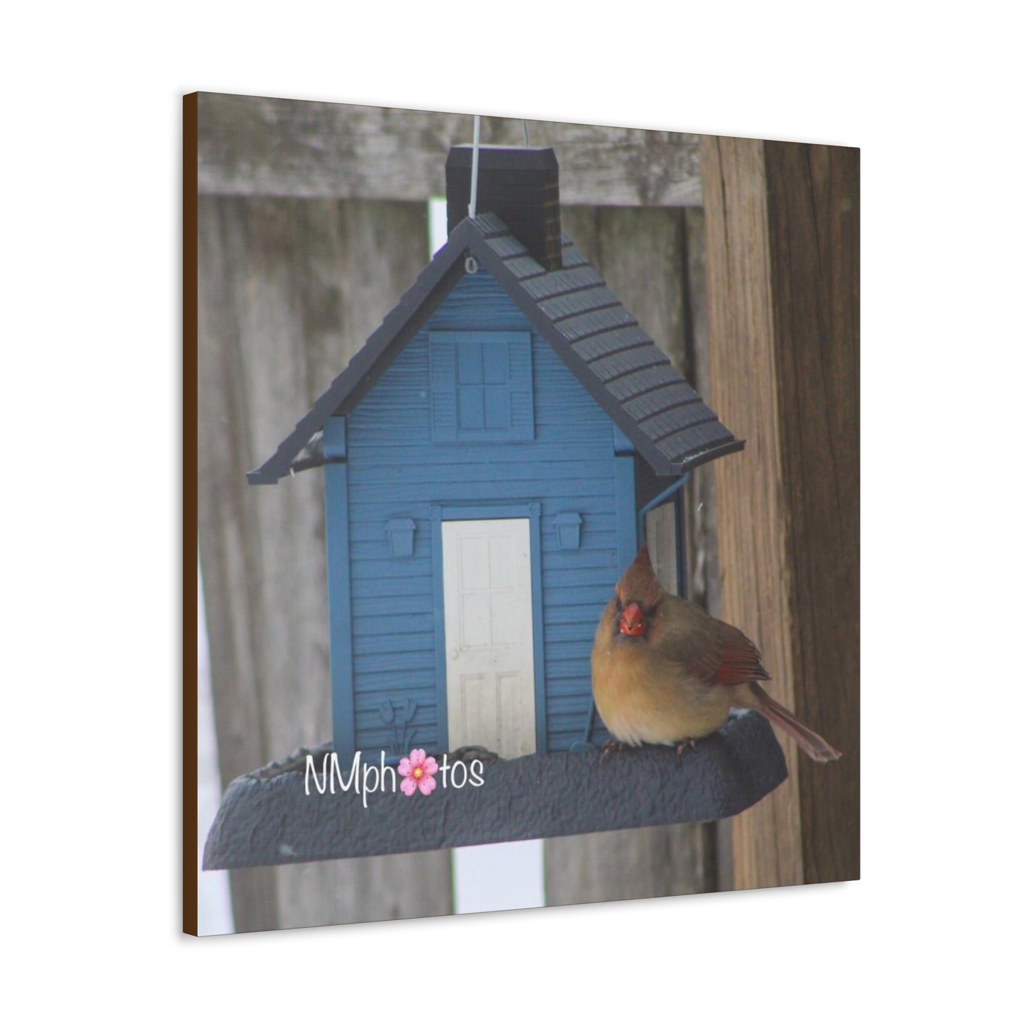 Birdhouse Canvas