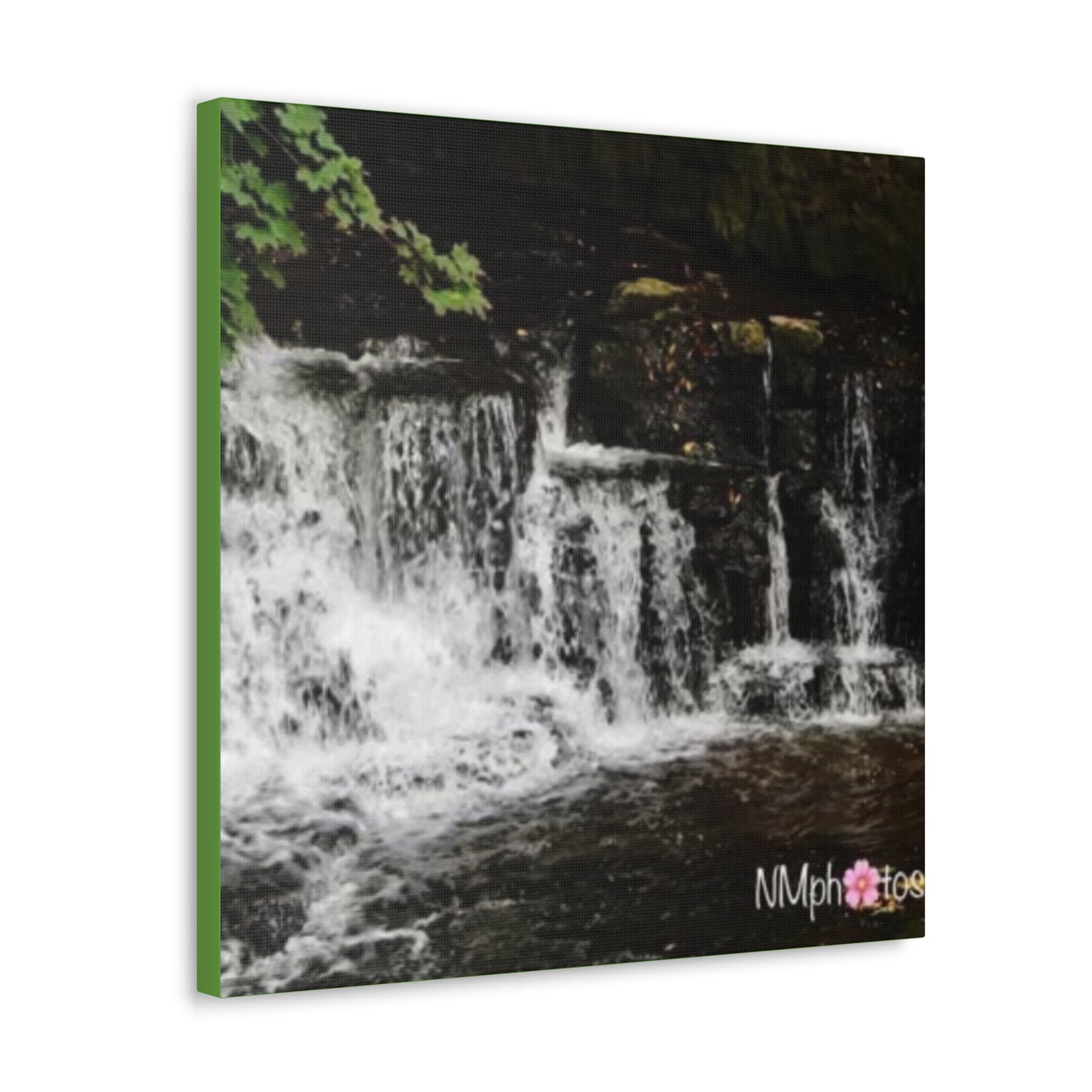 It's Like a Rainforrest Canvas