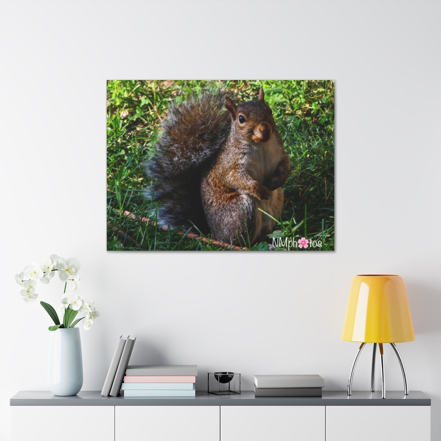 Squirrely Squirrel Canvas