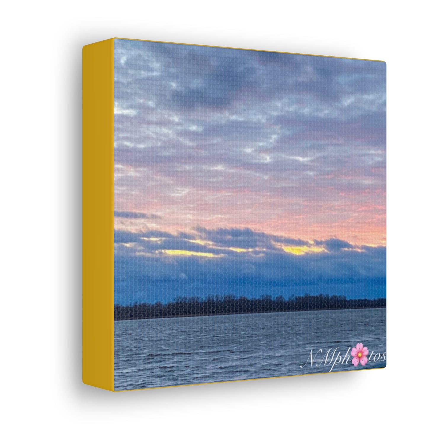 Fluffy Cotton Candy Canvas