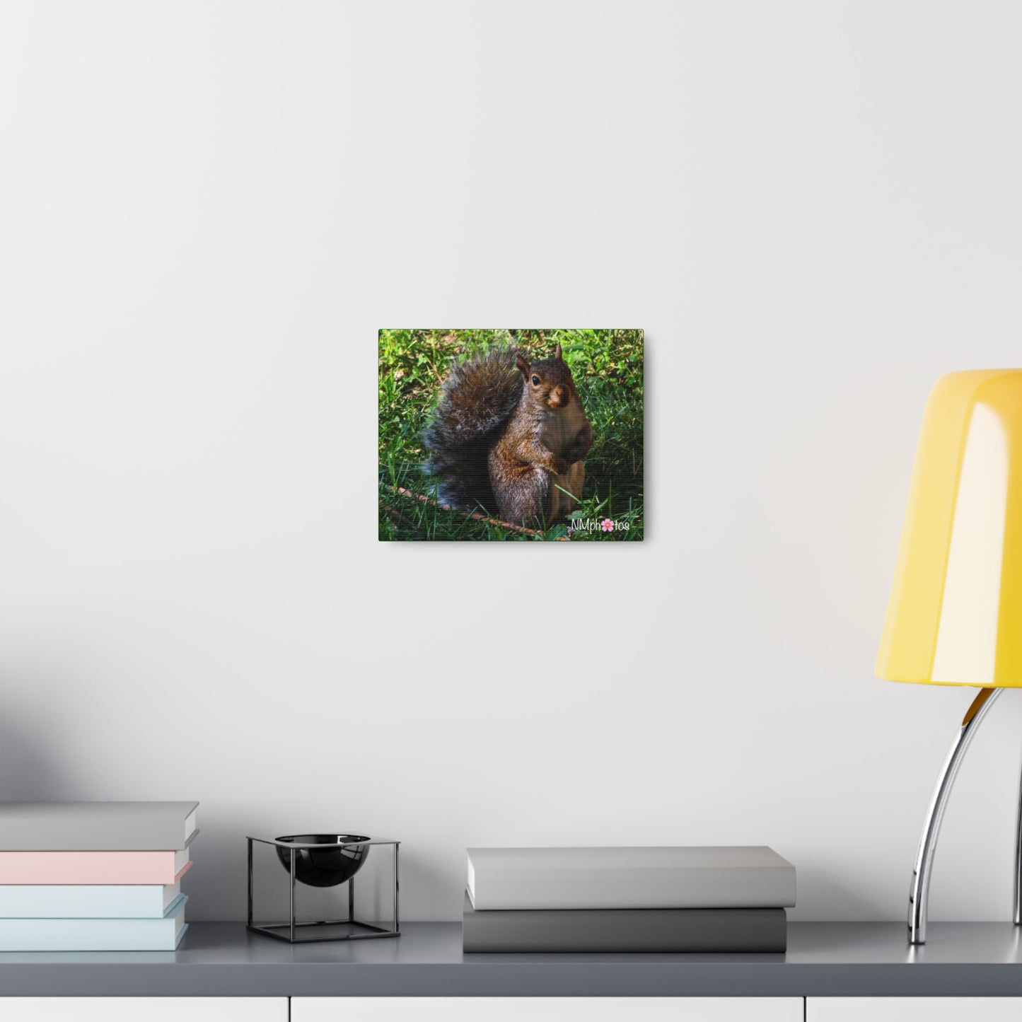 Squirrely Squirrel Canvas
