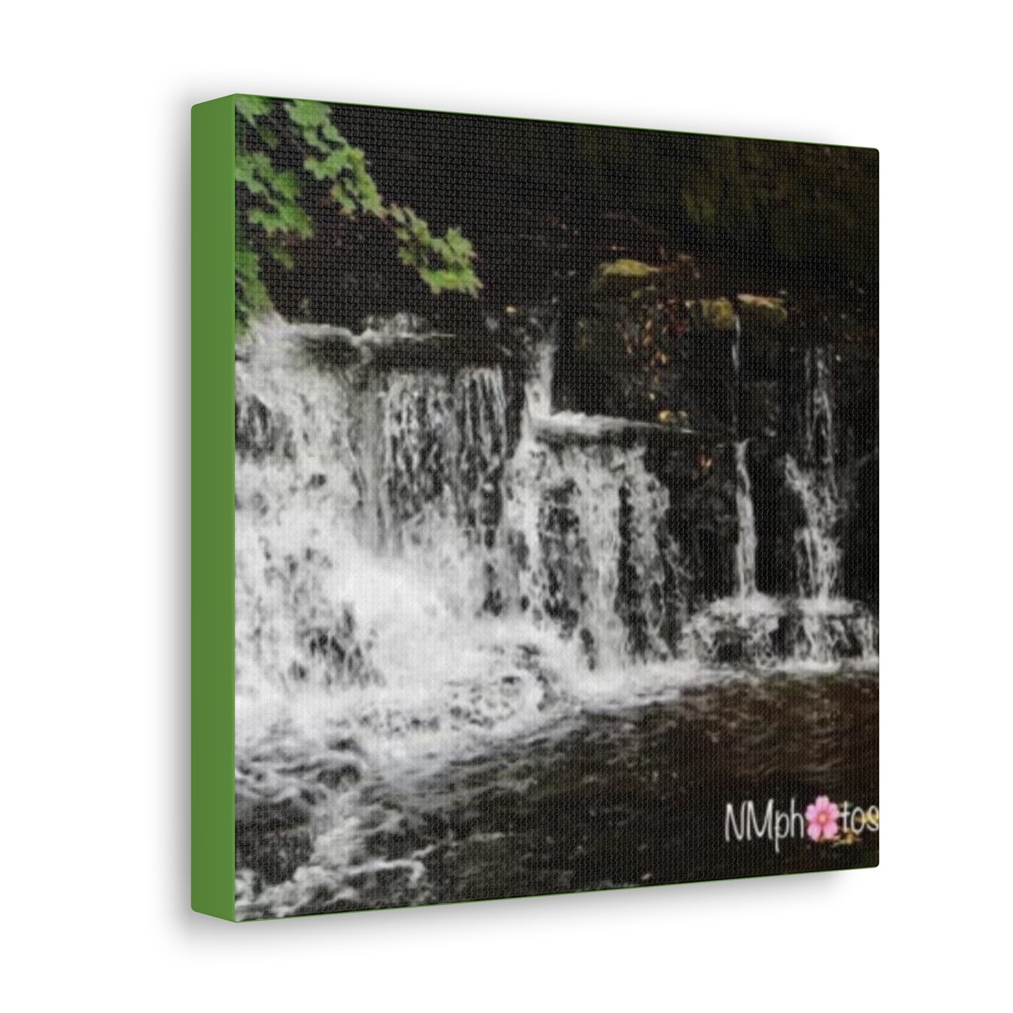 It's Like a Rainforrest Canvas