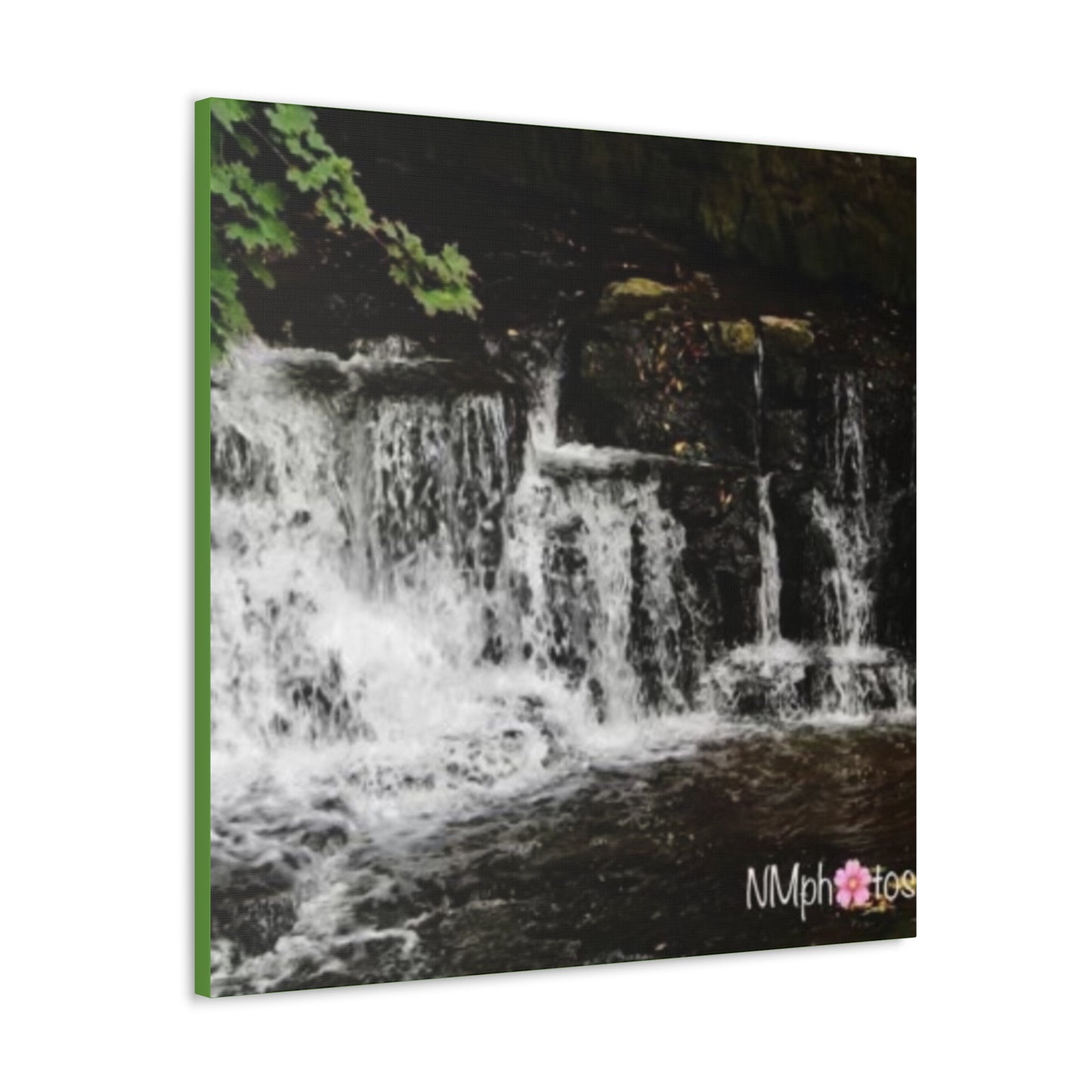 It's Like a Rainforrest Canvas