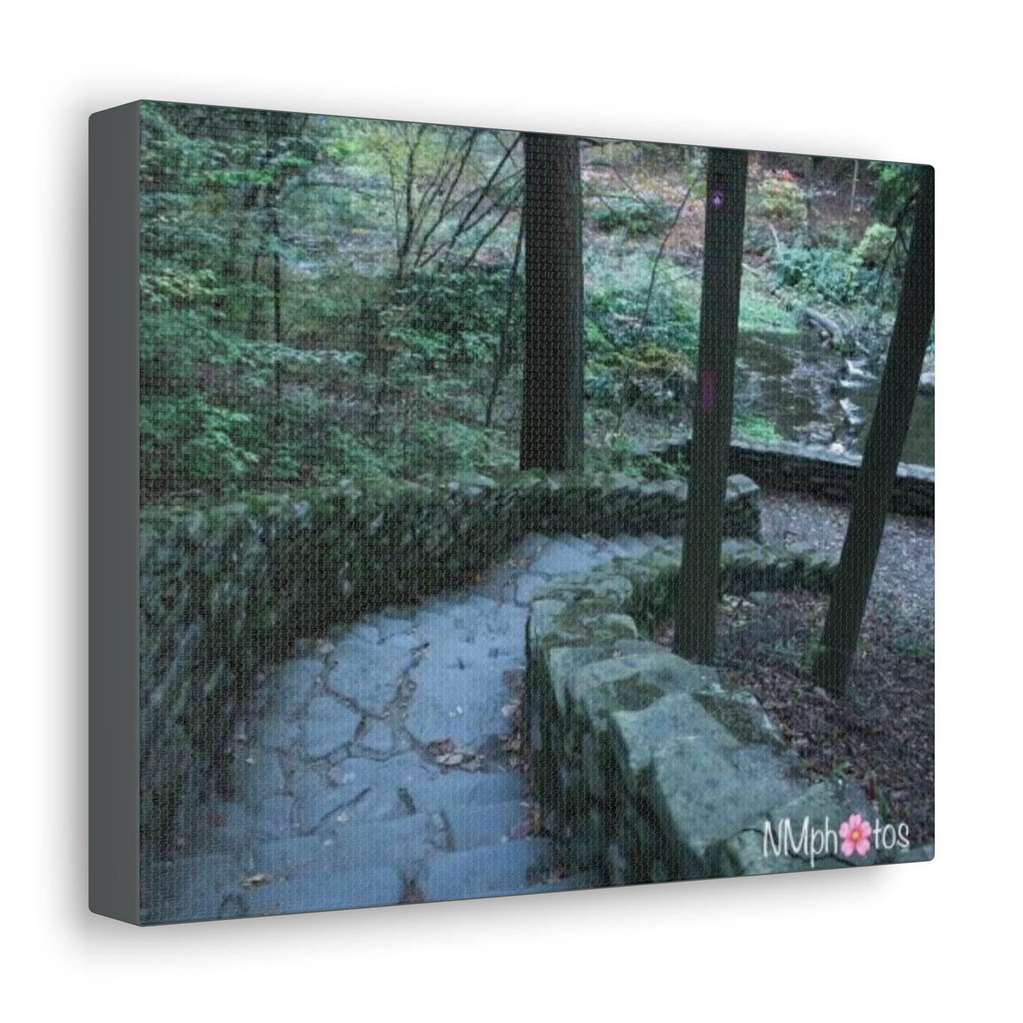 Into The Unexpected Canvas