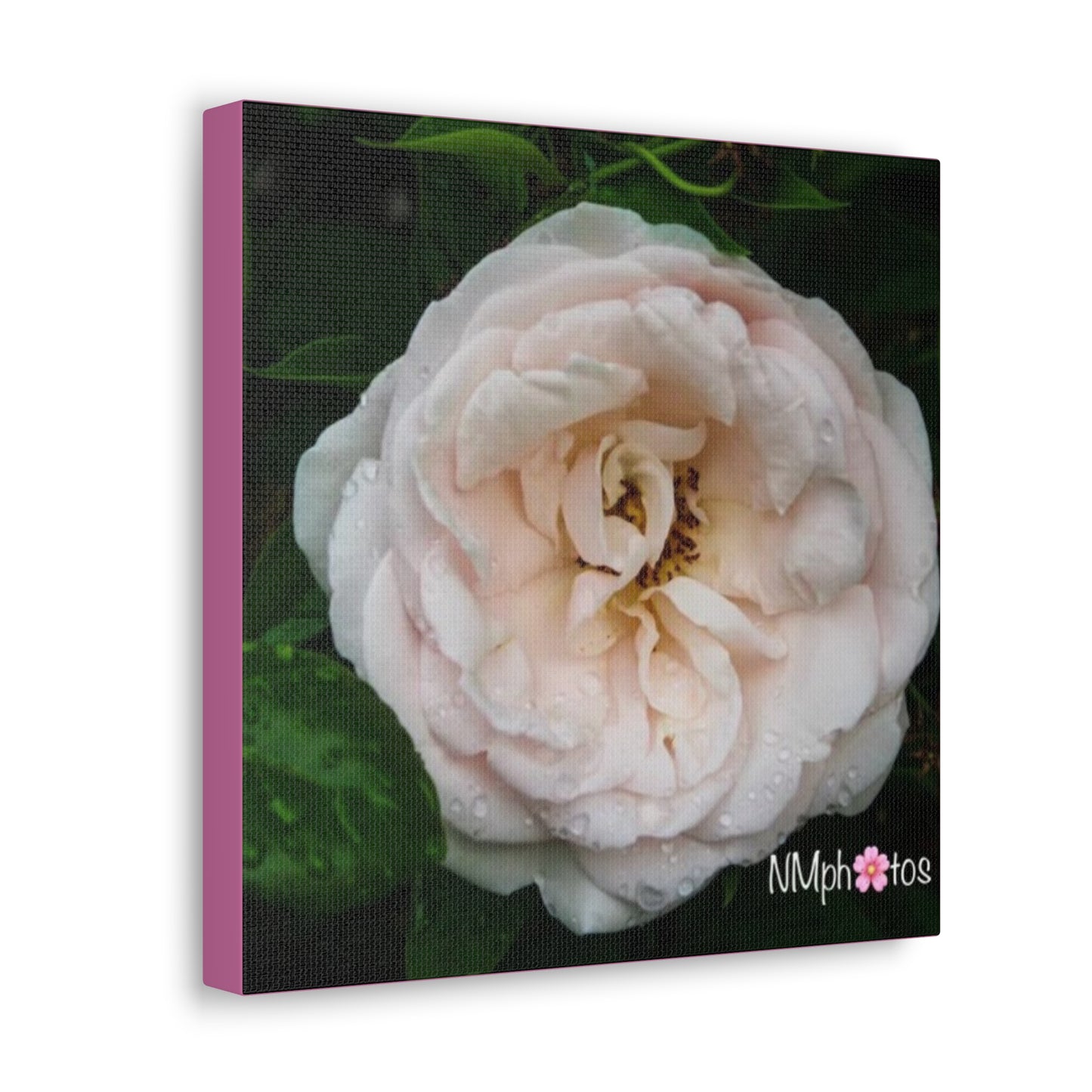 As She Blooms Canvas