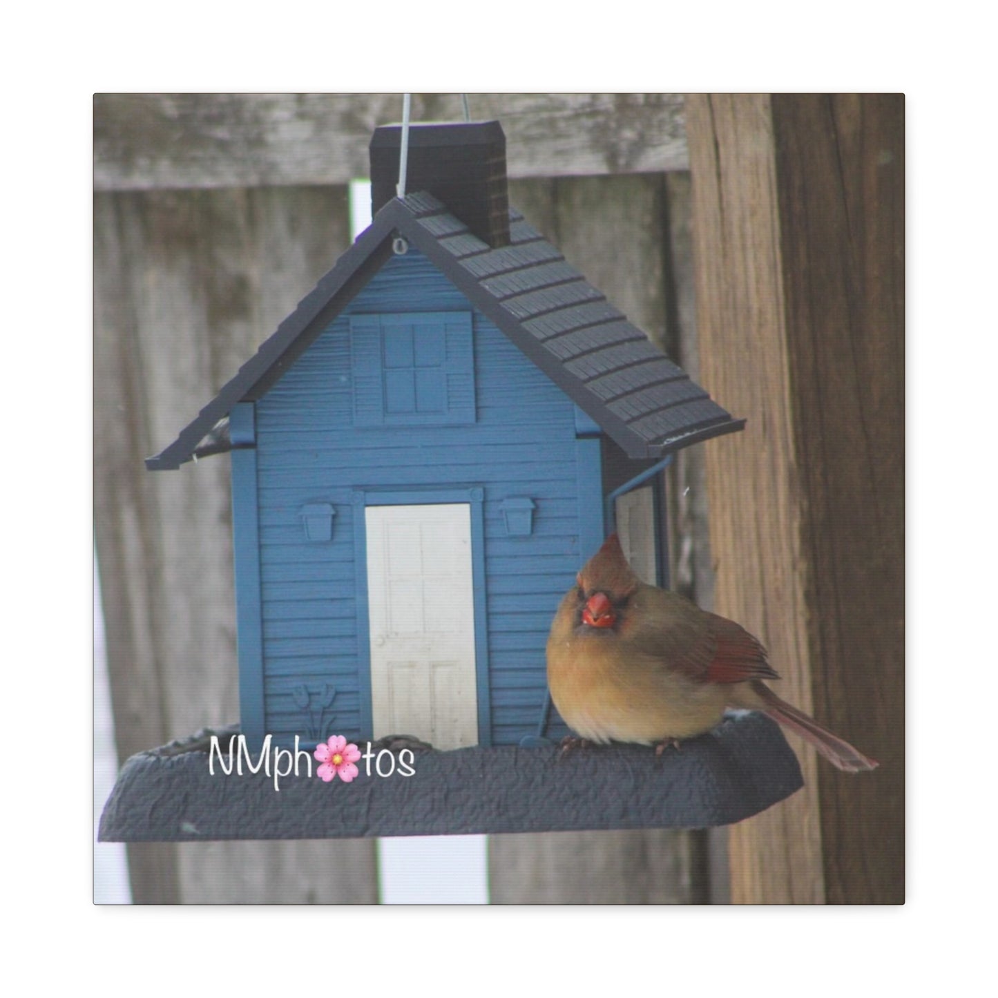 Birdhouse Canvas