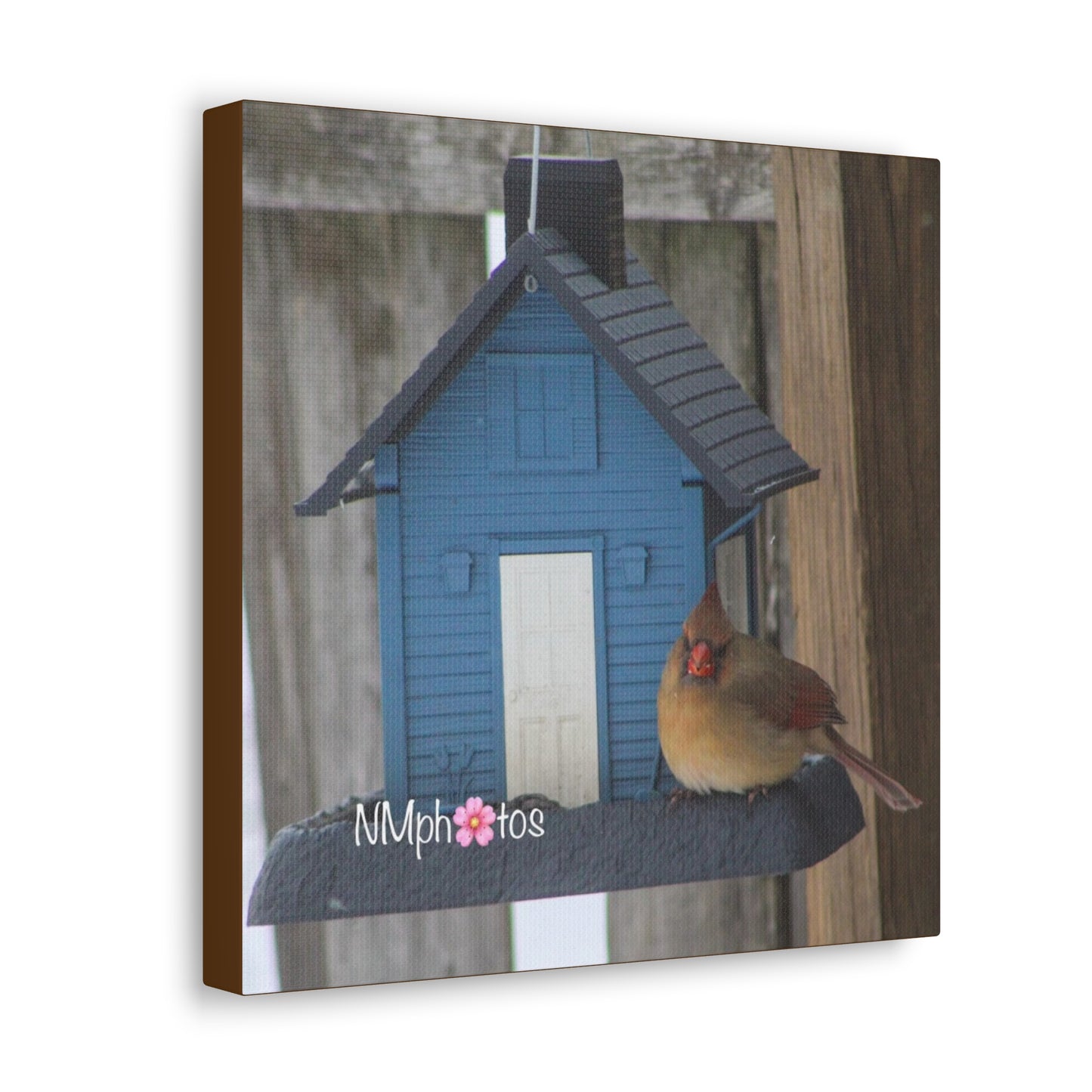 Birdhouse Canvas