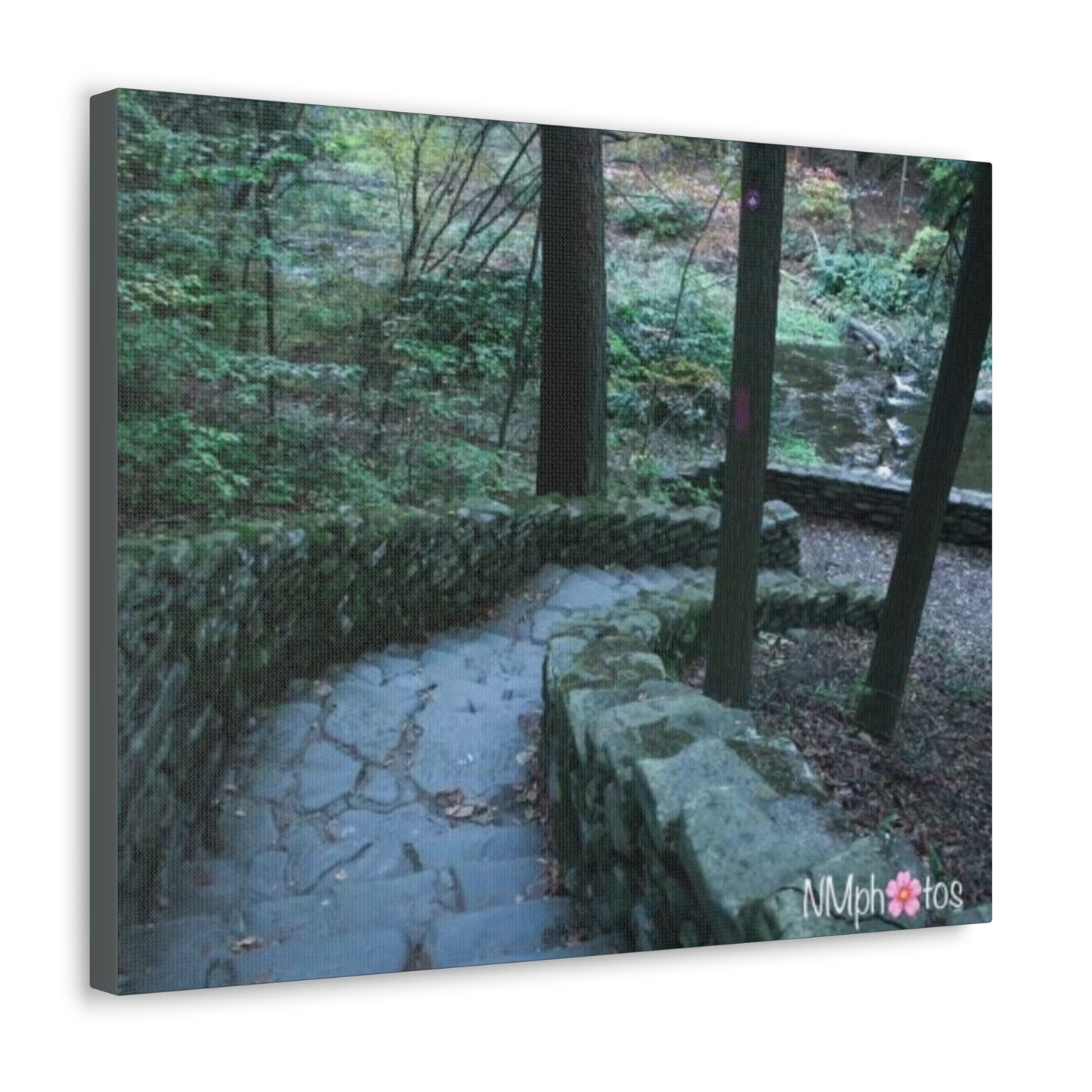 Into The Unexpected Canvas