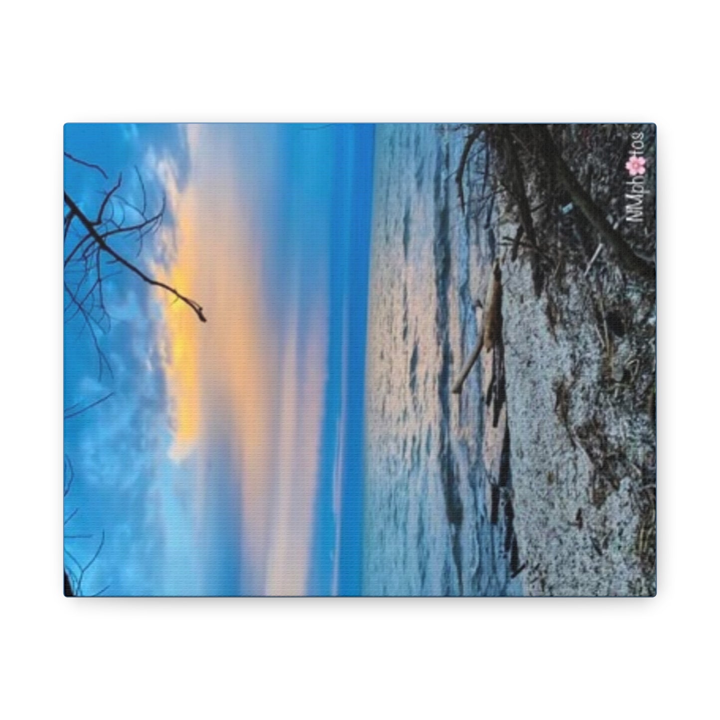 Ocean Breeze Canvas