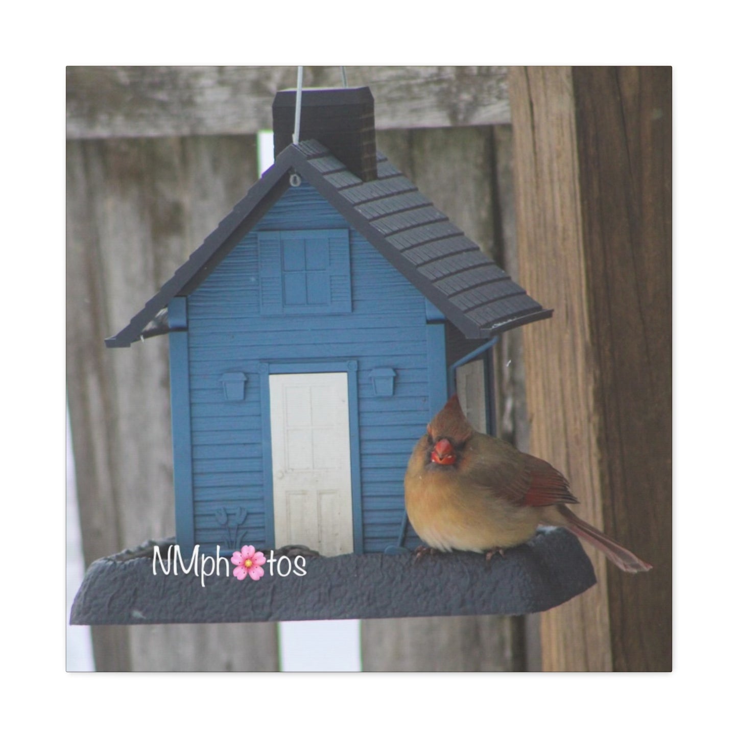 Birdhouse Canvas