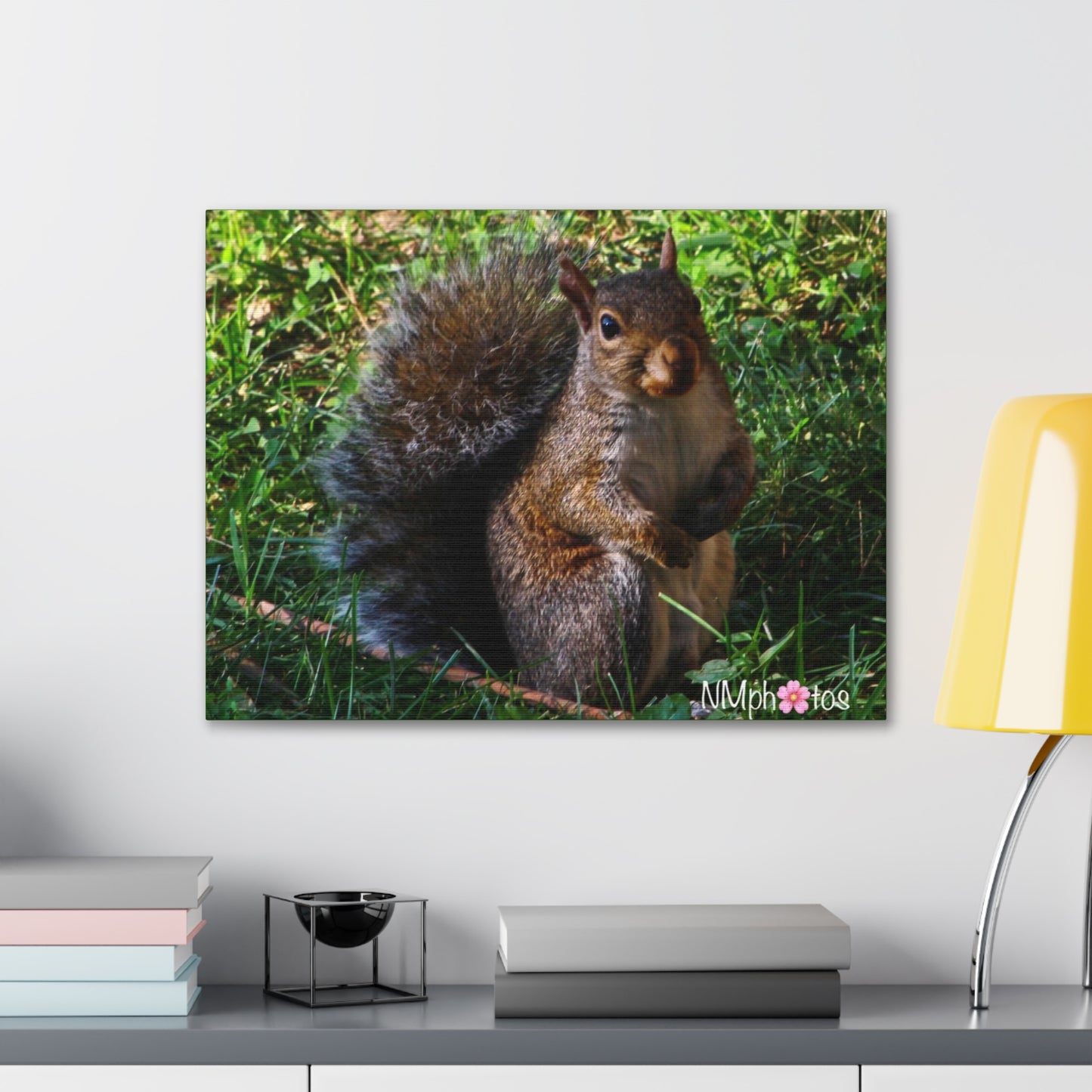 Squirrely Squirrel Canvas