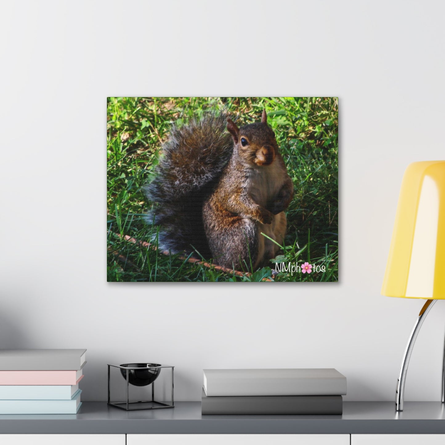 Squirrely Squirrel Canvas