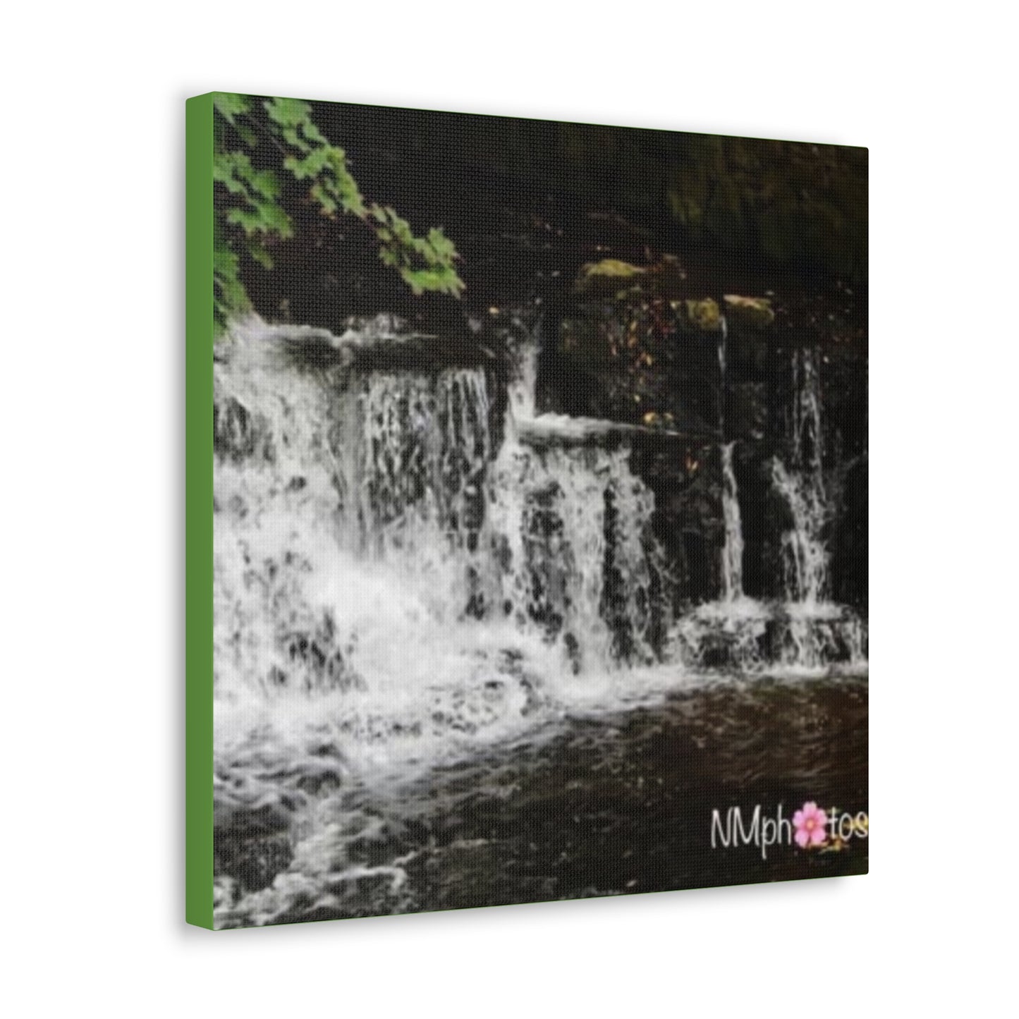 It's Like a Rainforrest Canvas