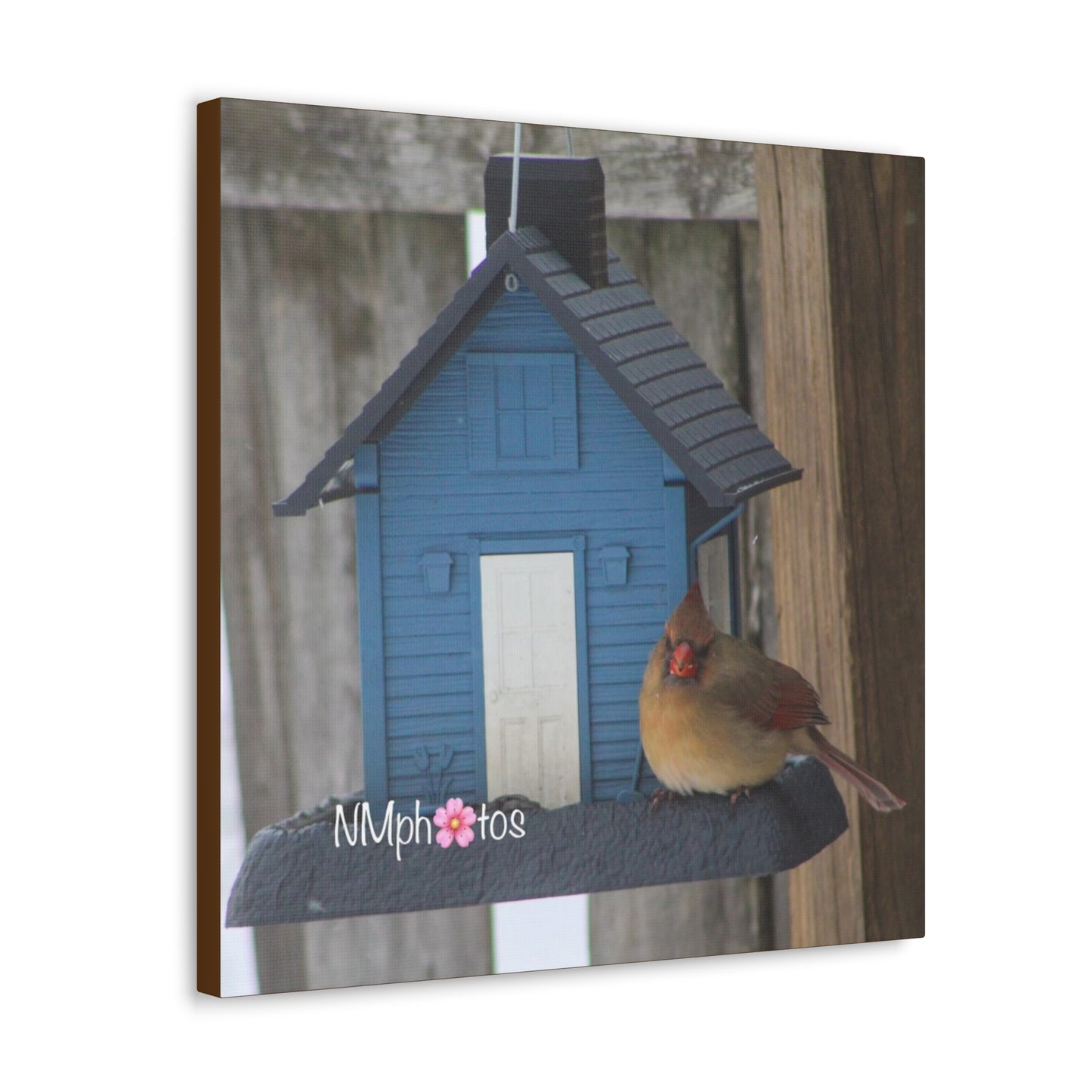 Birdhouse Canvas