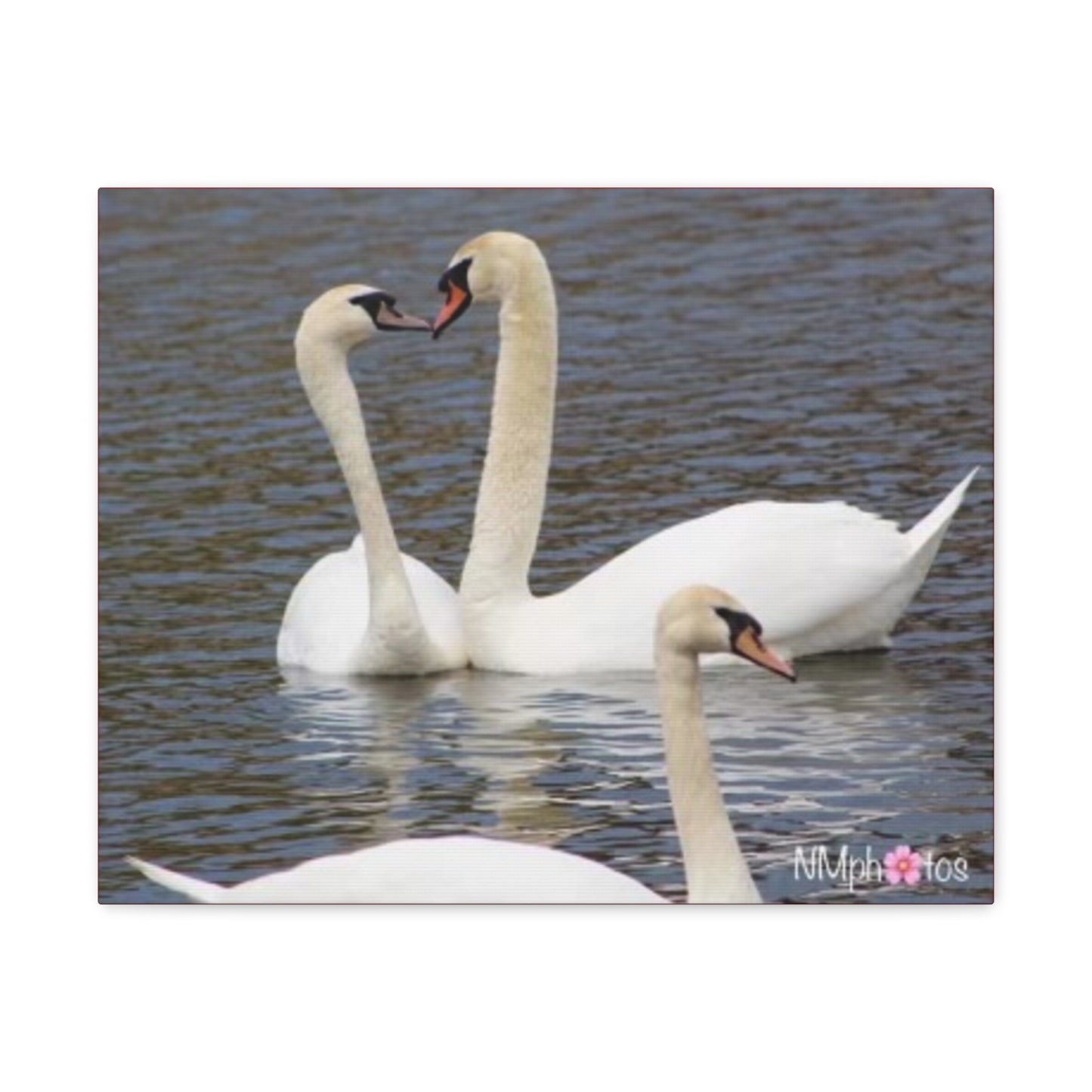 Love Birds Canvas