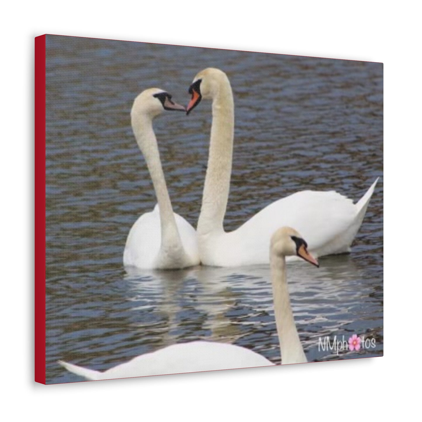 Love Birds Canvas