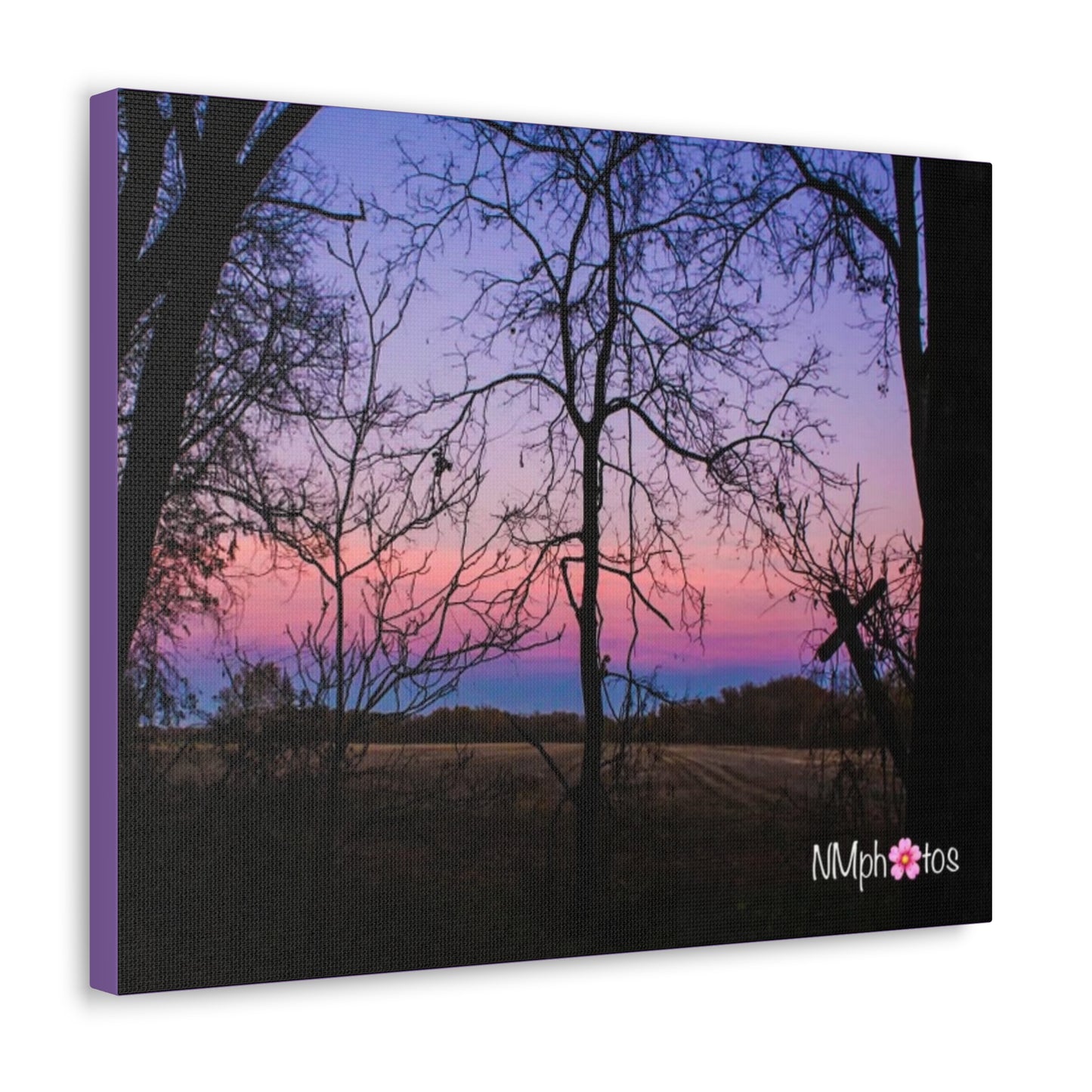 I Think I'm Dreaming Canvas