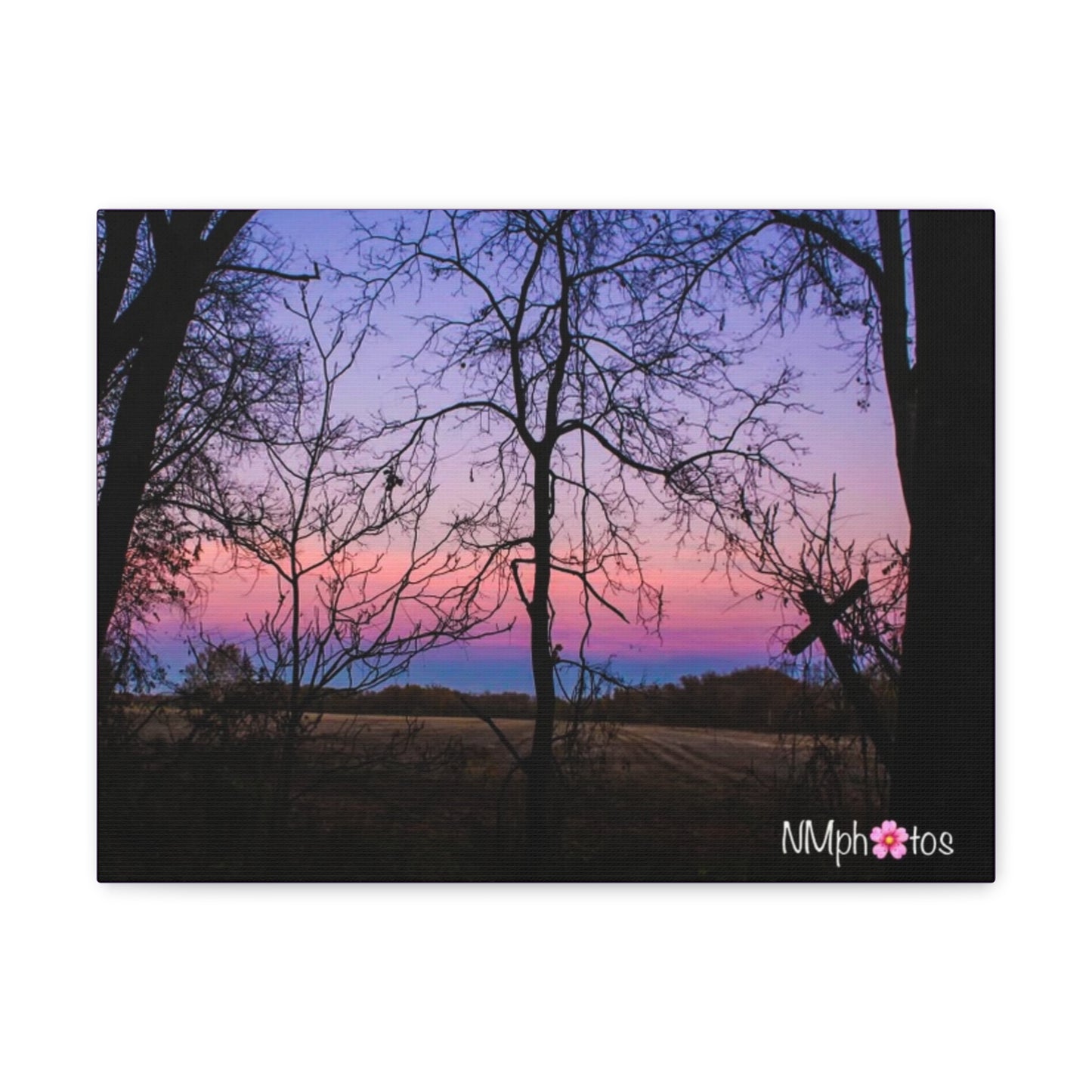 I Think I'm Dreaming Canvas