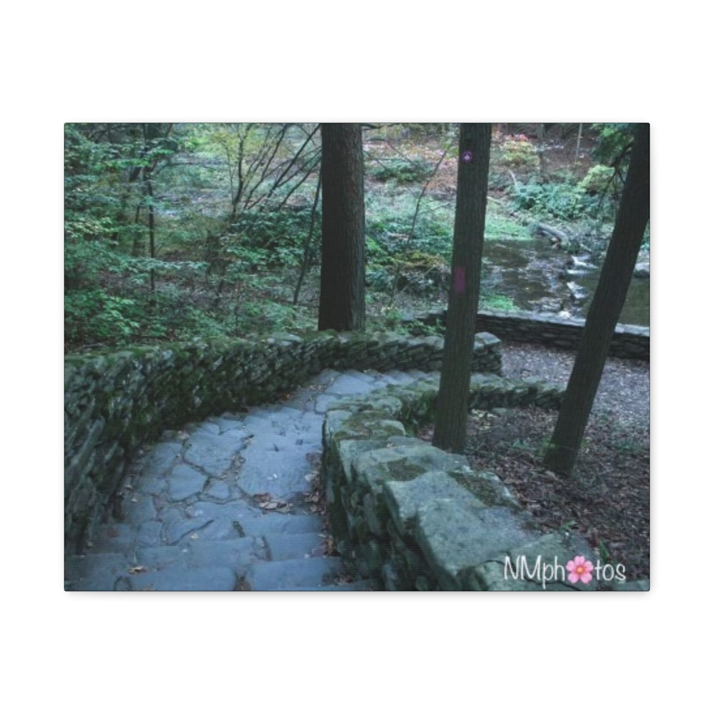 Into The Unexpected Canvas