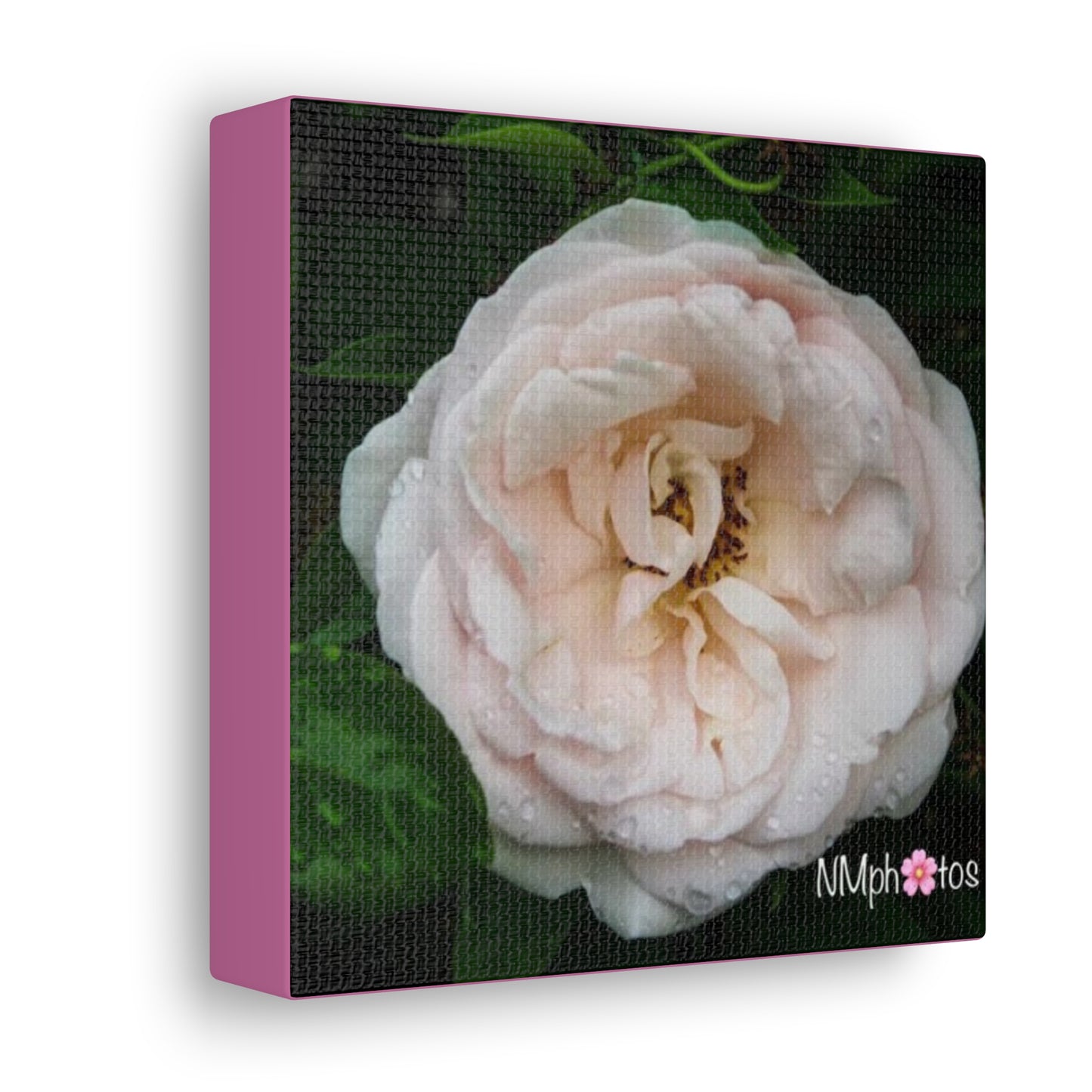 As She Blooms Canvas