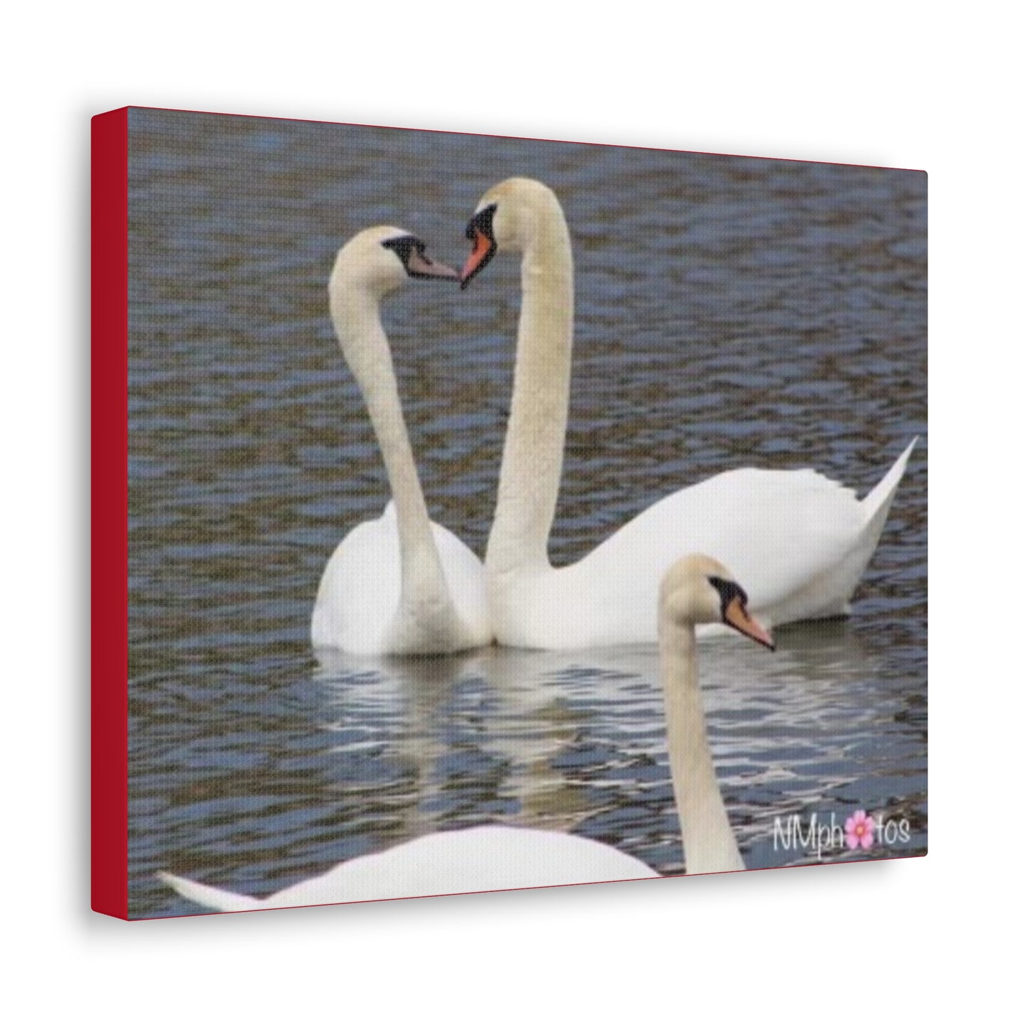 Love Birds Canvas