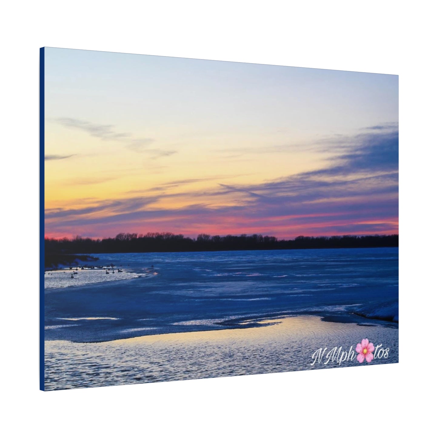 An Evening in Wonderland Canvas