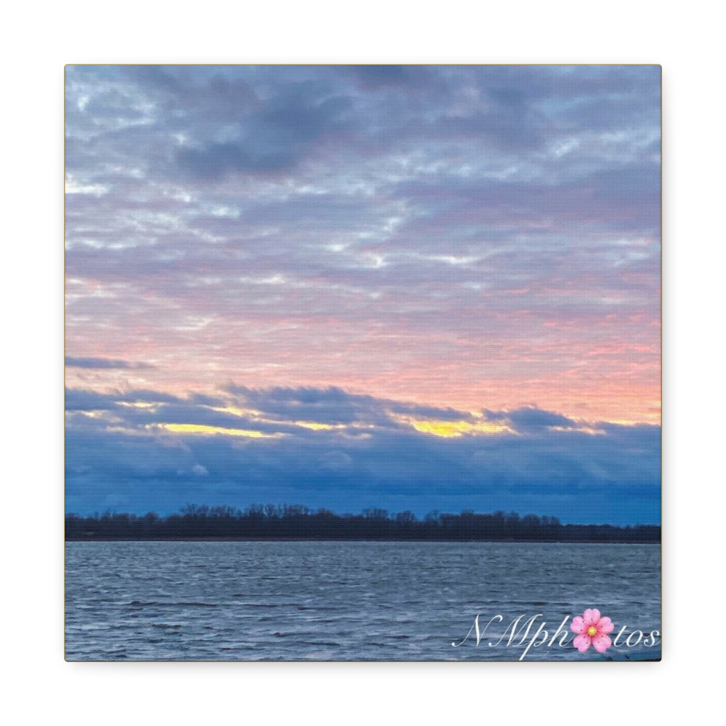 Fluffy Cotton Candy Canvas