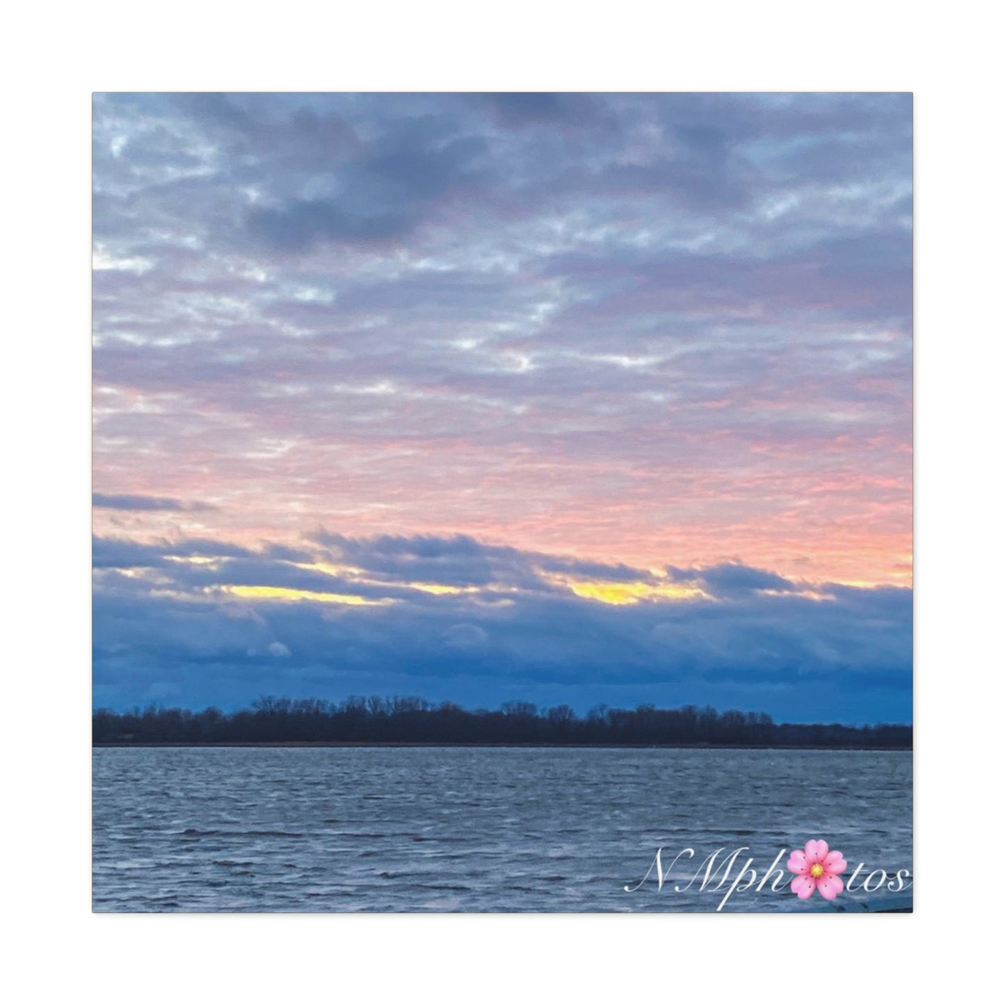 Fluffy Cotton Candy Canvas