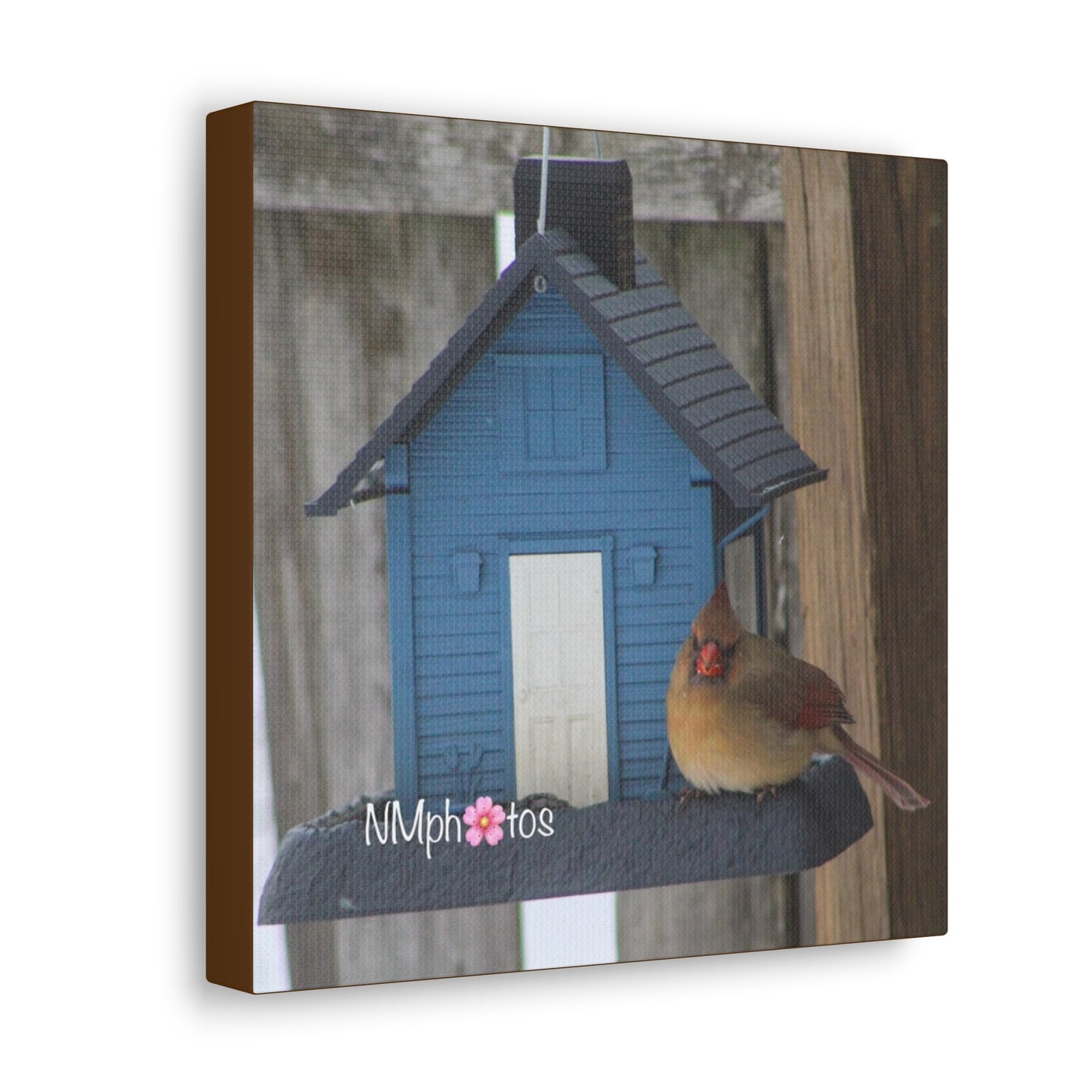 Birdhouse Canvas