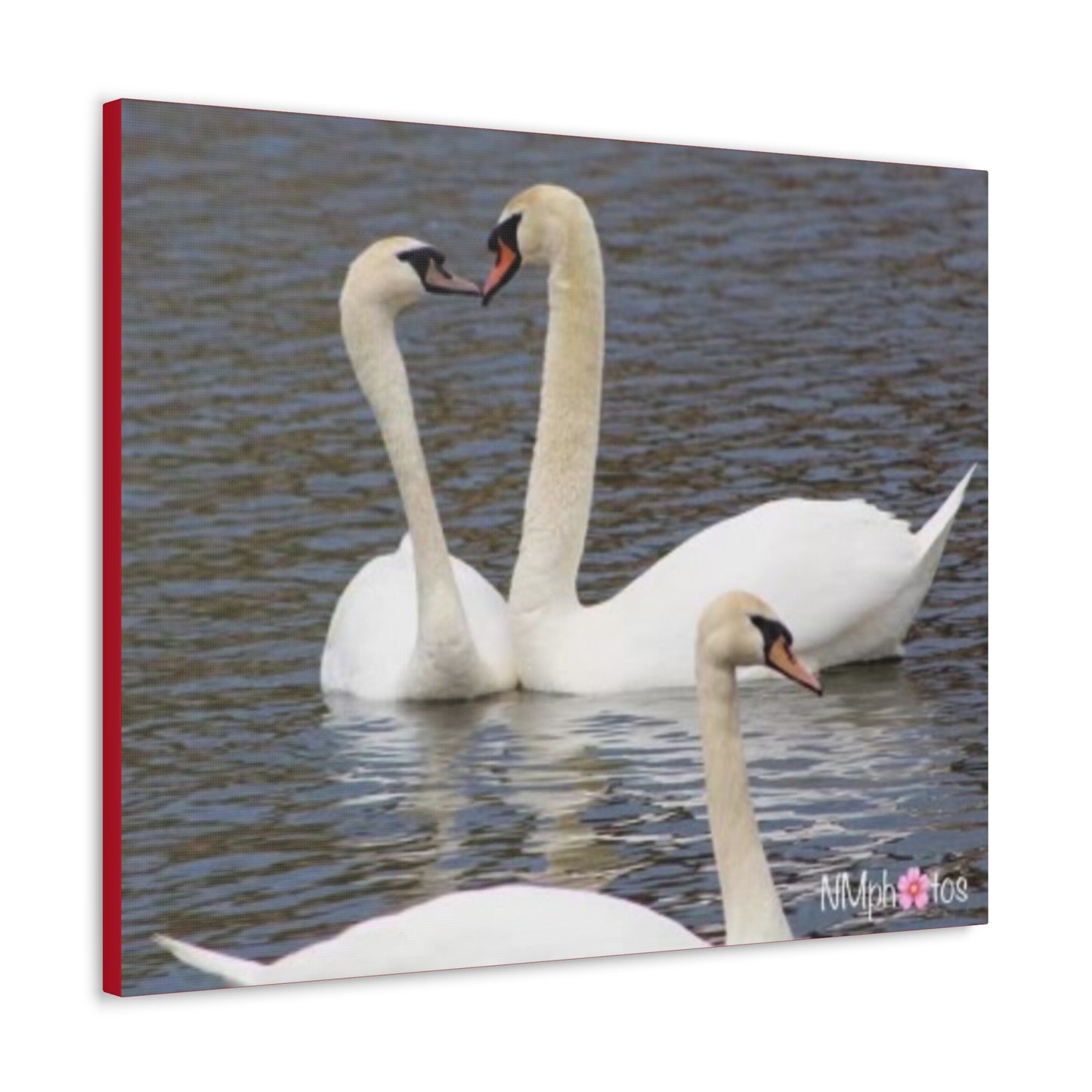 Love Birds Canvas
