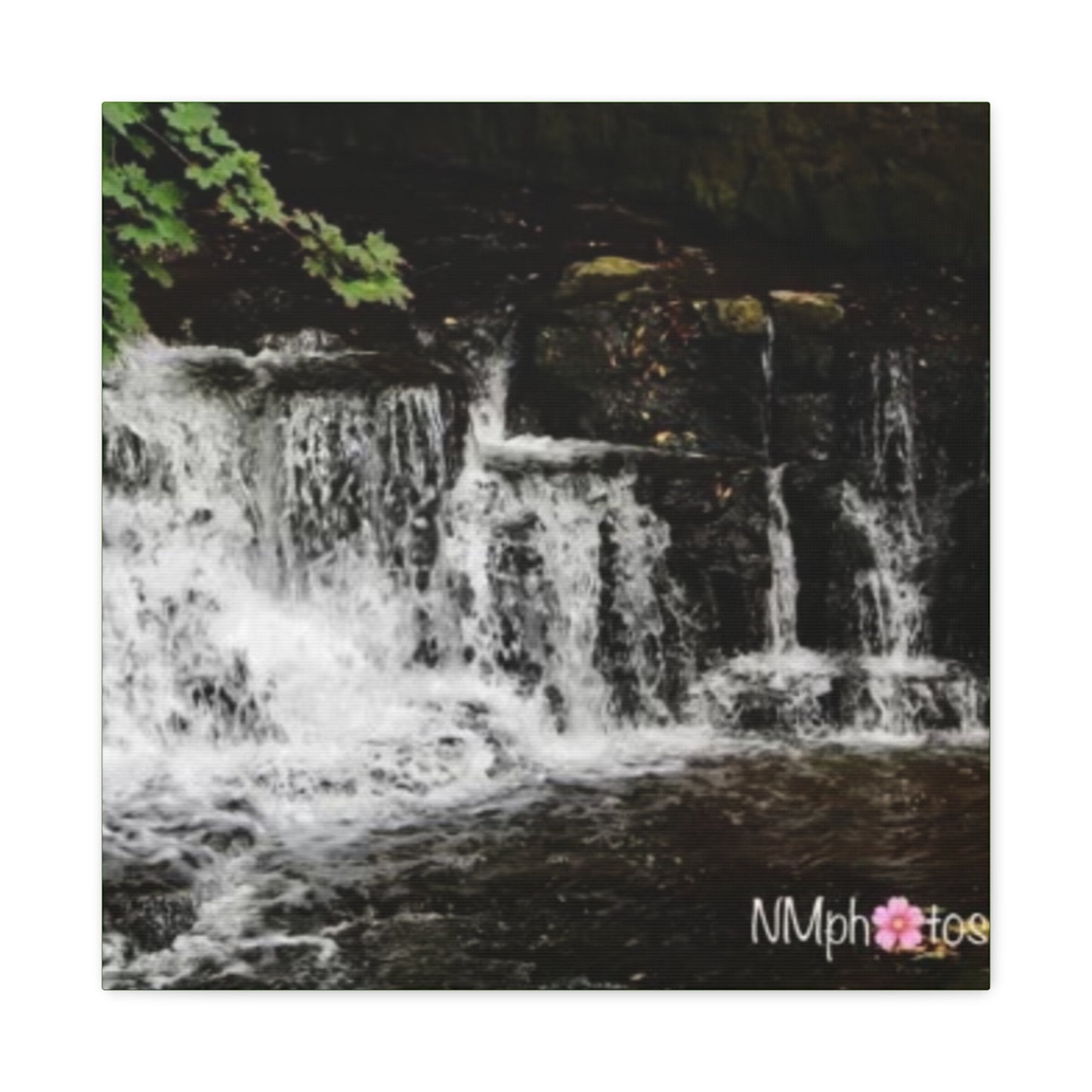 It's Like a Rainforrest Canvas