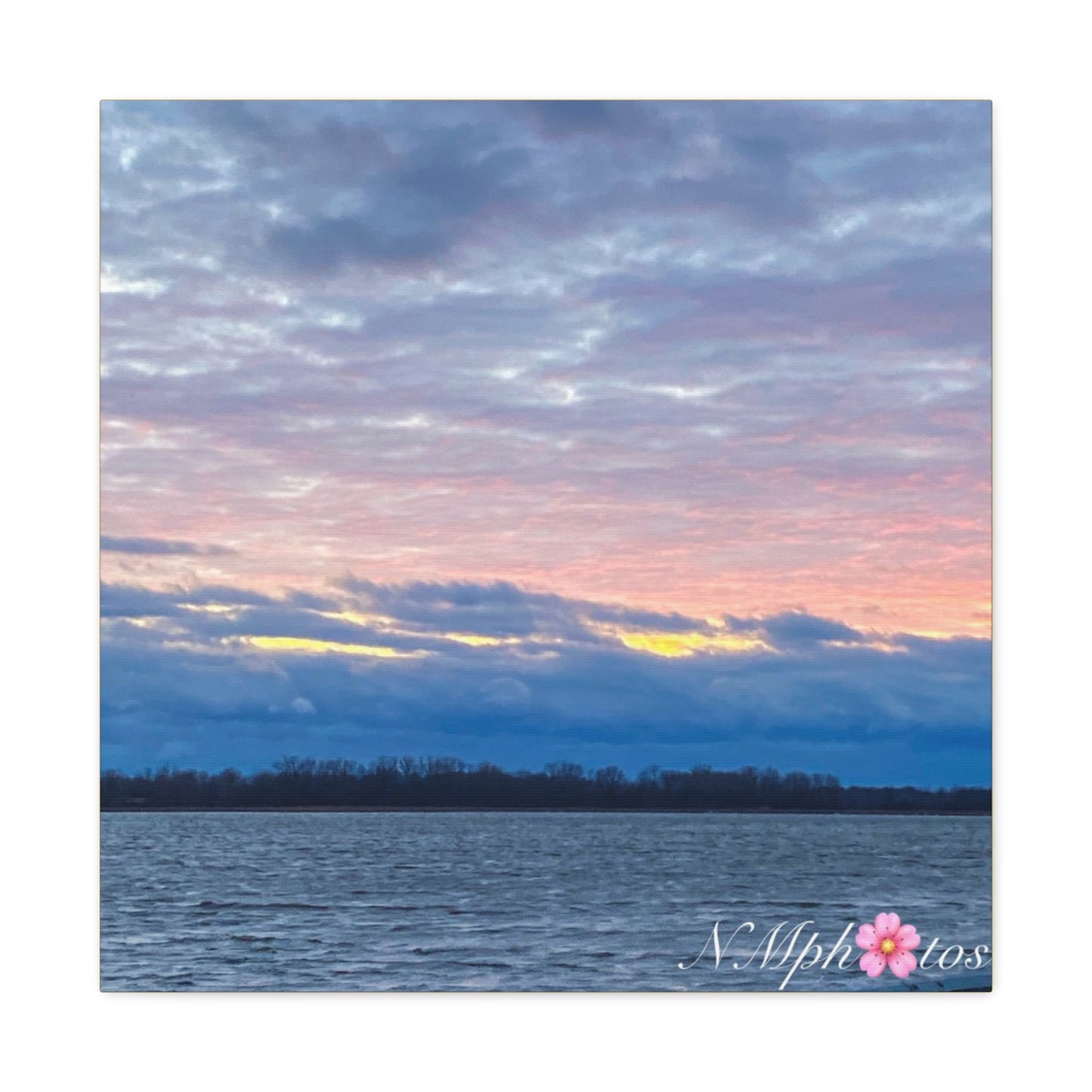 Fluffy Cotton Candy Canvas